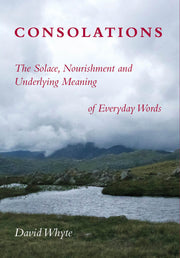 Consolations: The Solace, Nourishment and Underlying Meaning of Everyday Words used book depot