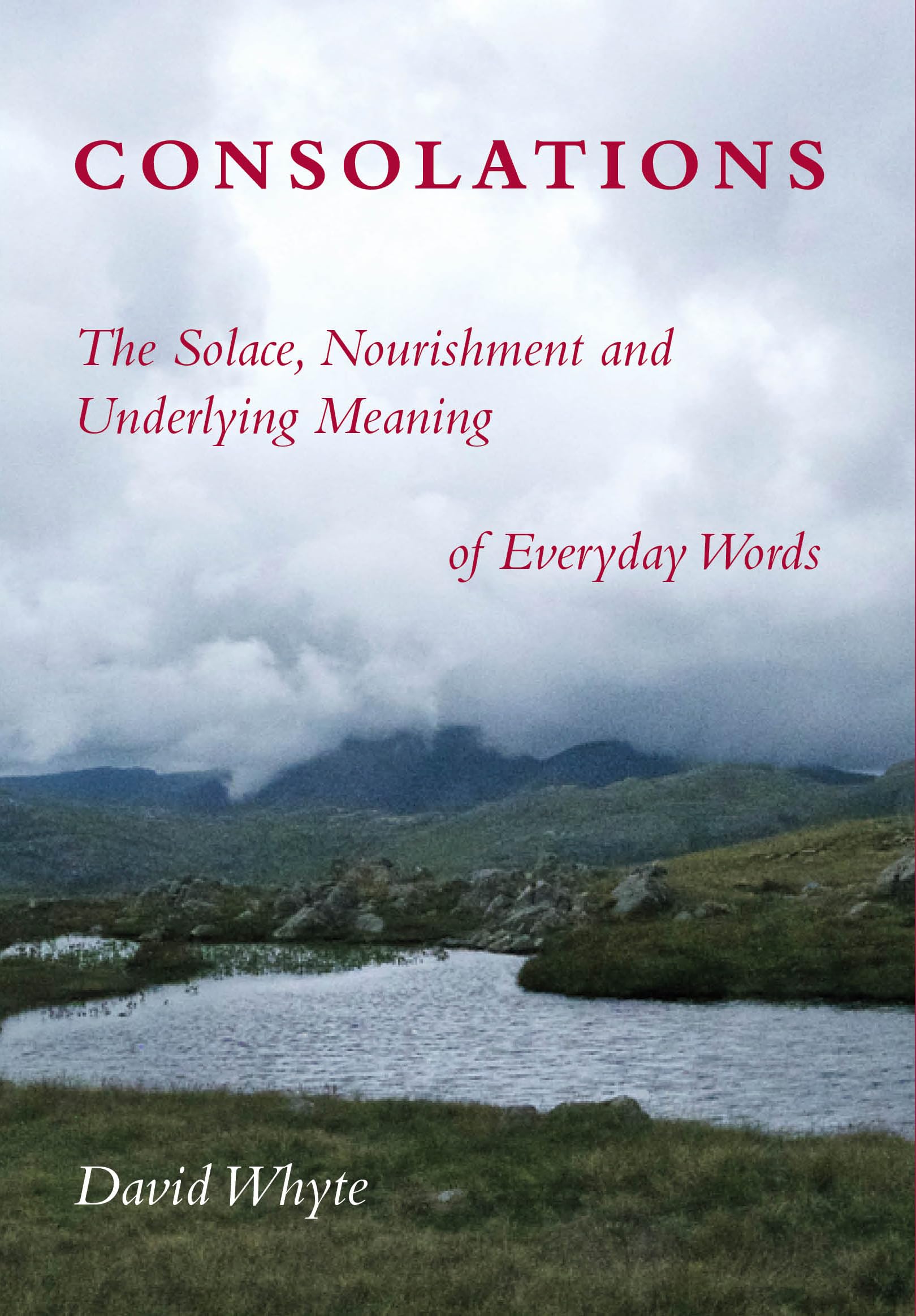 Consolations: The Solace, Nourishment and Underlying Meaning of Everyday Words used book depot