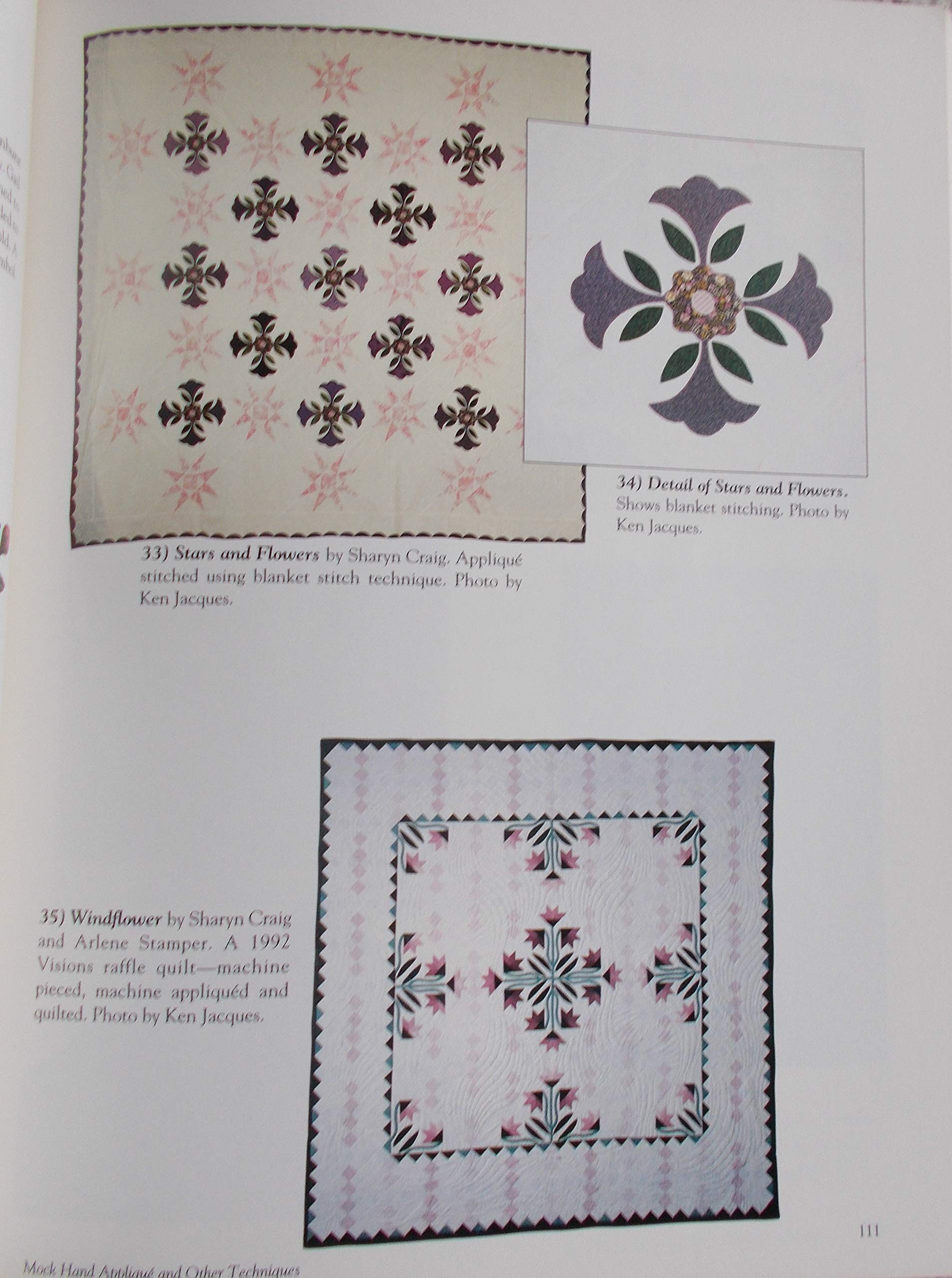 Mastering Machine Applique: The Satin Stitch/Mock Hand Applique and Other Techniques used book depot