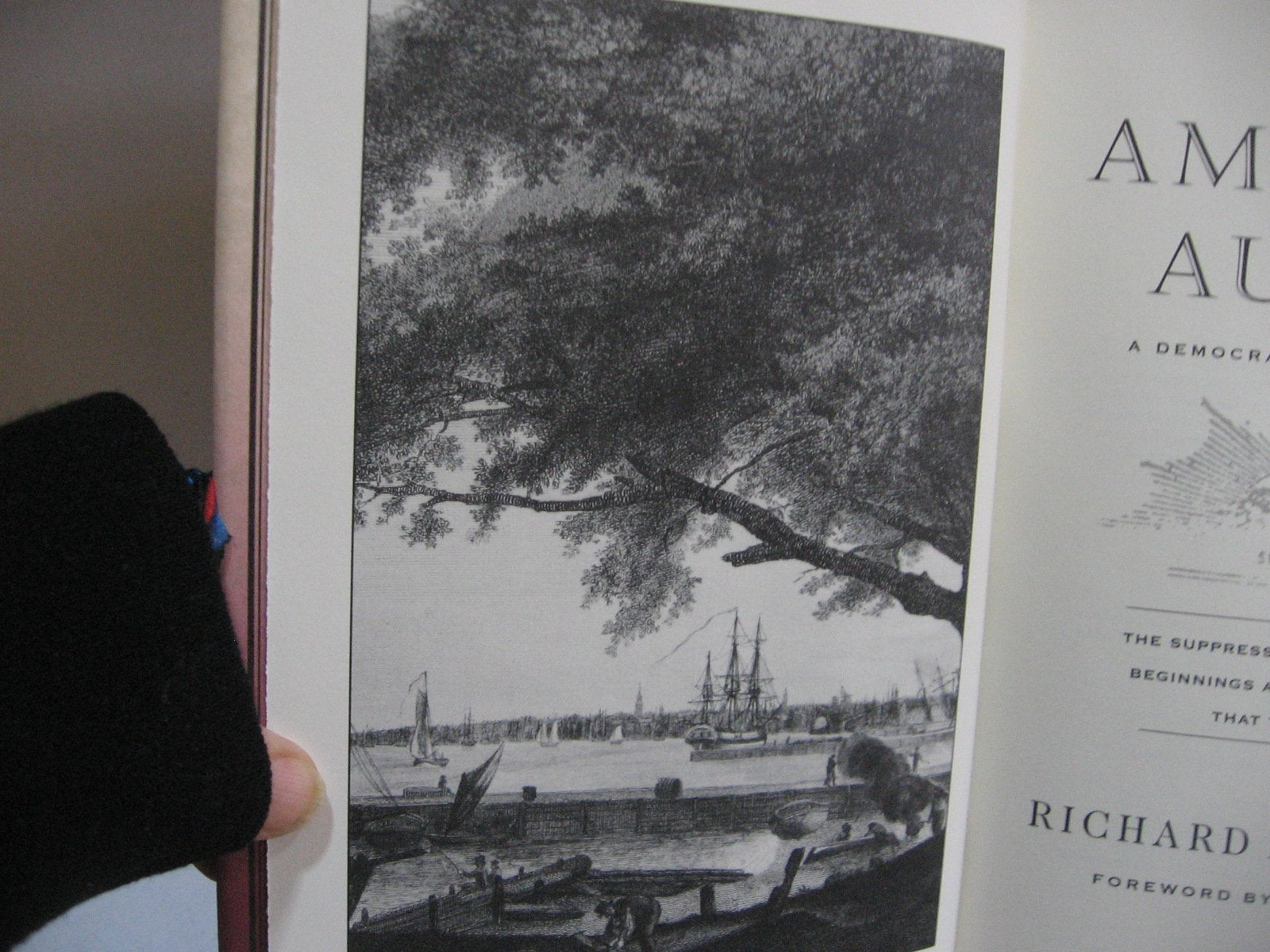American Aurora: A Democratic-Republican Returns : The Suppressed History of Our Nation's Beginnings and the Heroic Newspaper That Tried to Report It used book depot