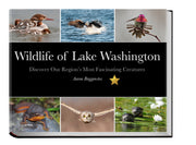 Wildlife of Lake Washington (Discover Our Region's Most Fascinating Creatures) used book depot