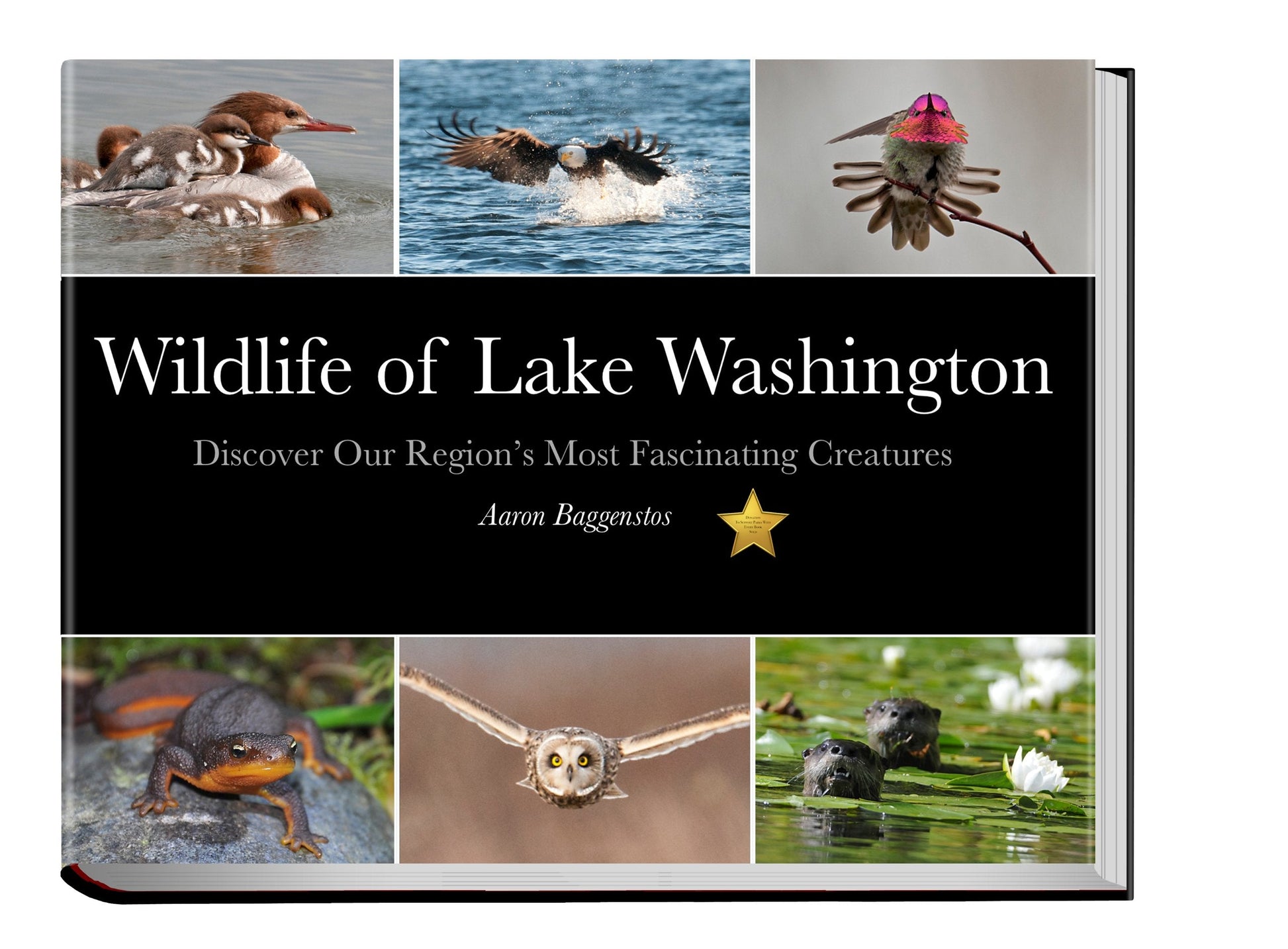 Wildlife of Lake Washington (Discover Our Region's Most Fascinating Creatures) used book depot