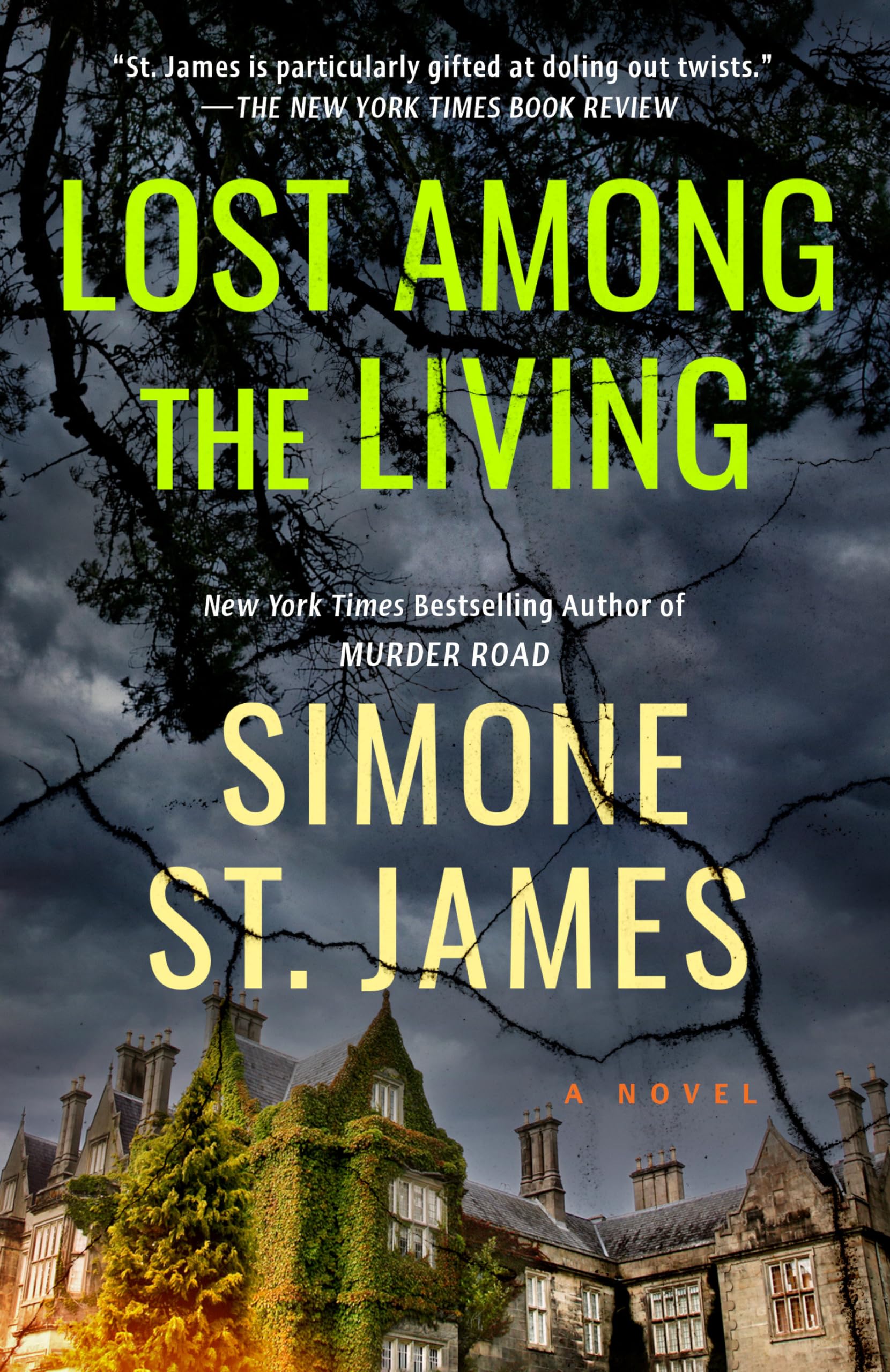 Lost Among the Living used book depot
