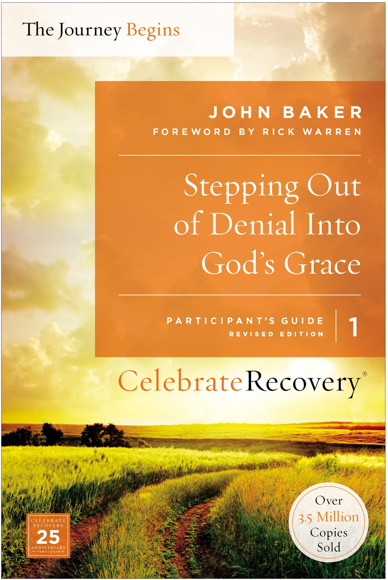 Stepping Out of Denial into God's Grace Participant's Guide 1: A Recovery Program Based on Eight Principles from the Beatitudes (Celebrate Recovery) used book depot