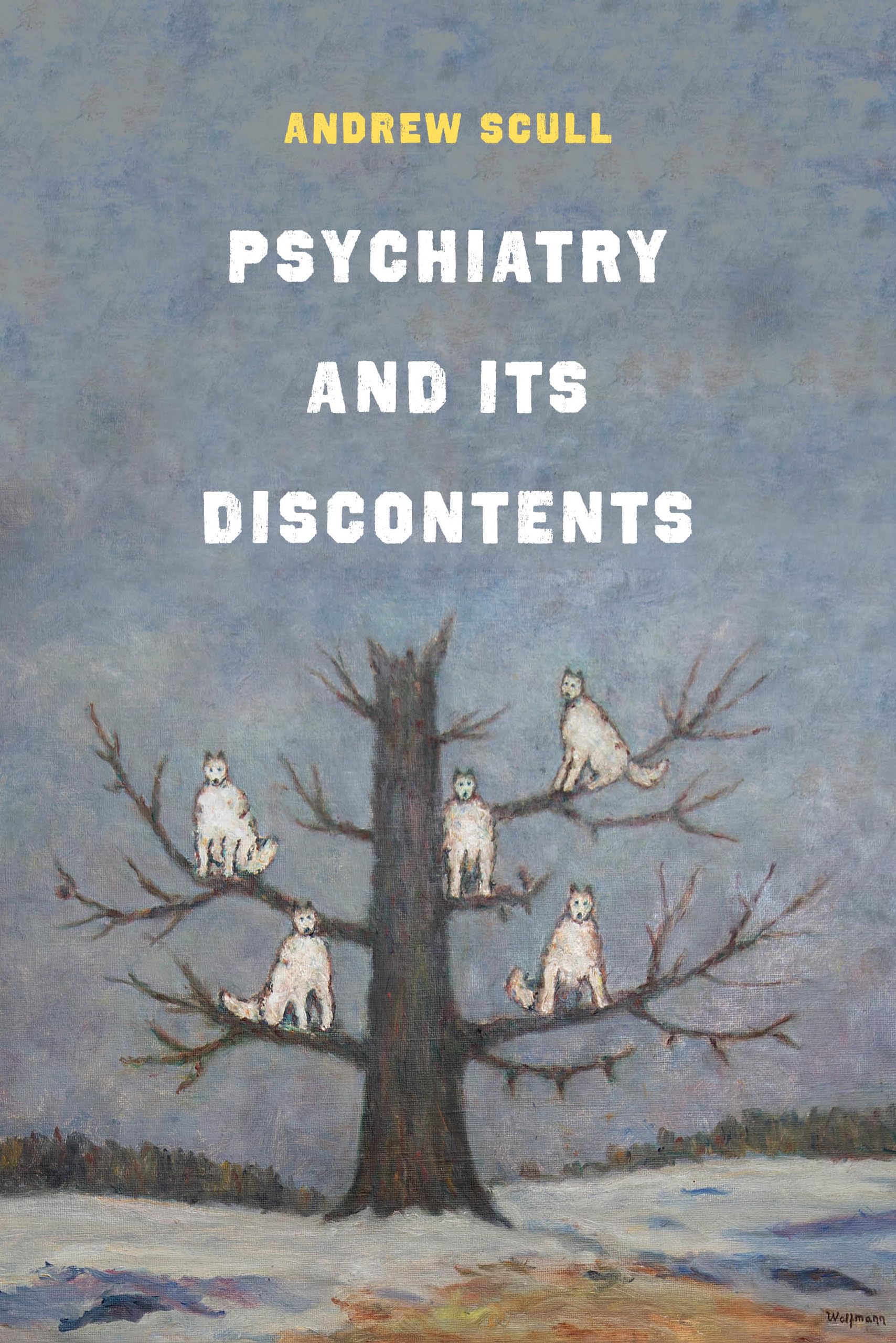 Psychiatry and Its Discontents used book depot