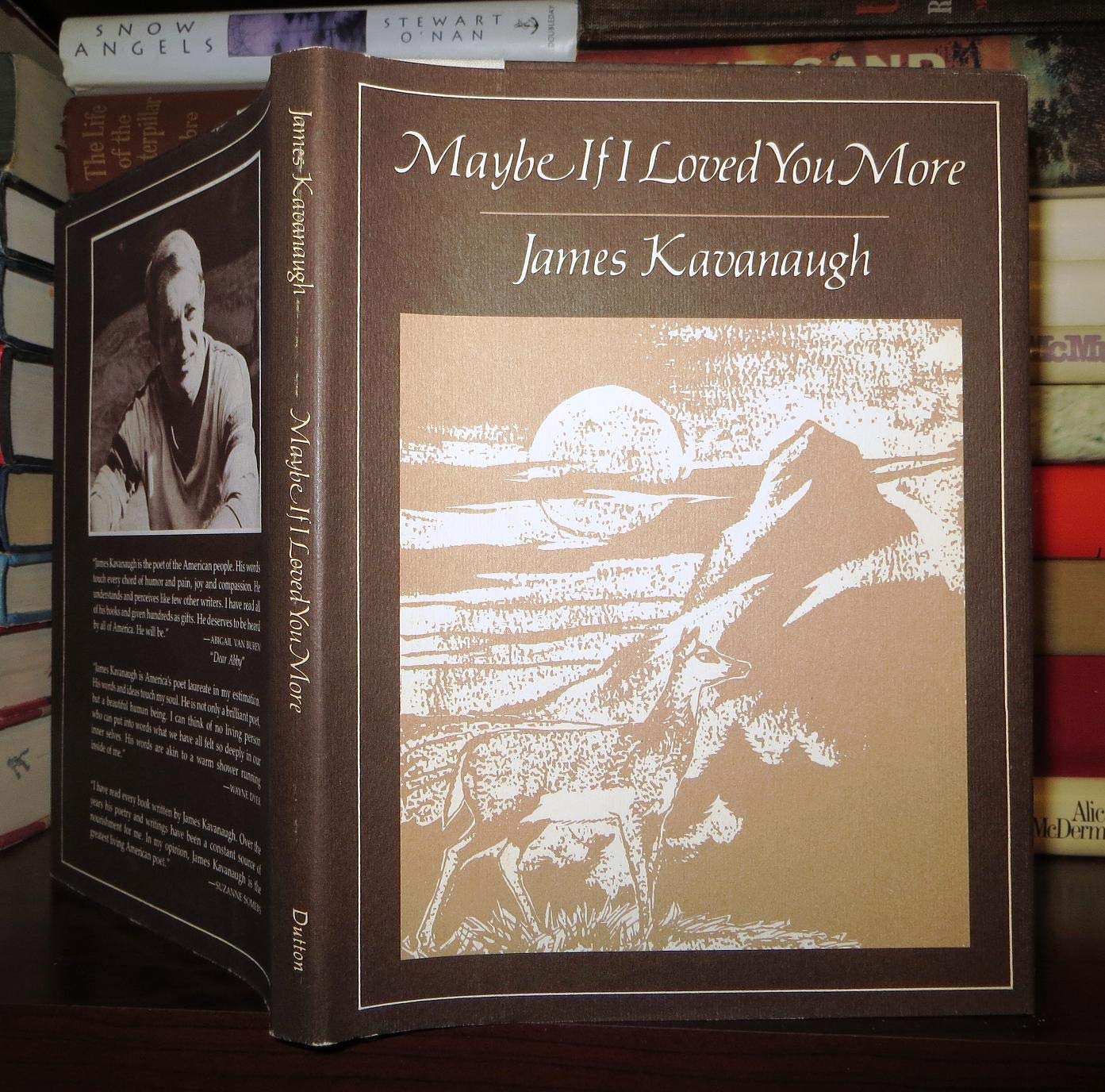 Maybe if I Loved You More used book depot