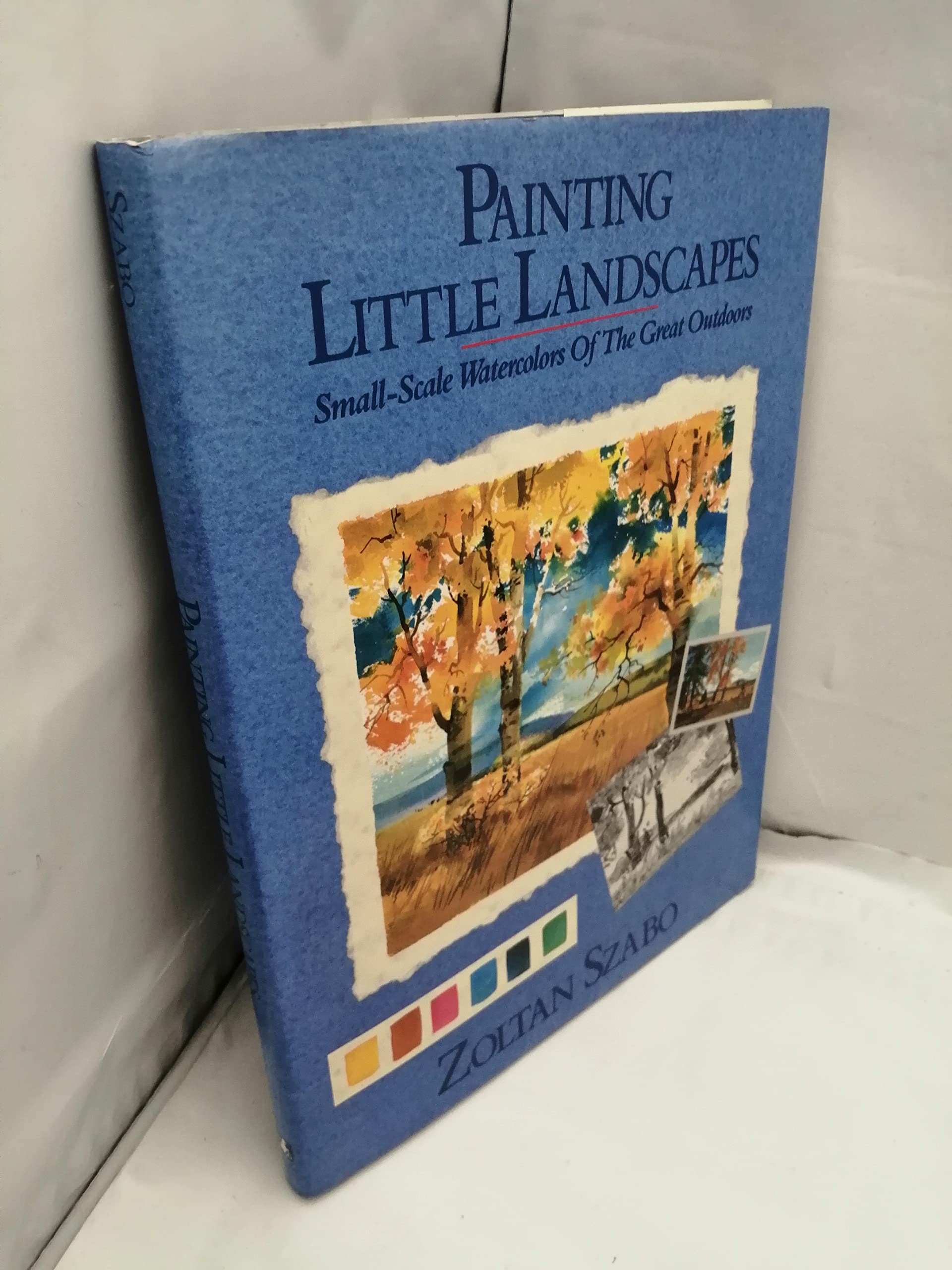 Painting Little Landscapes used book depot