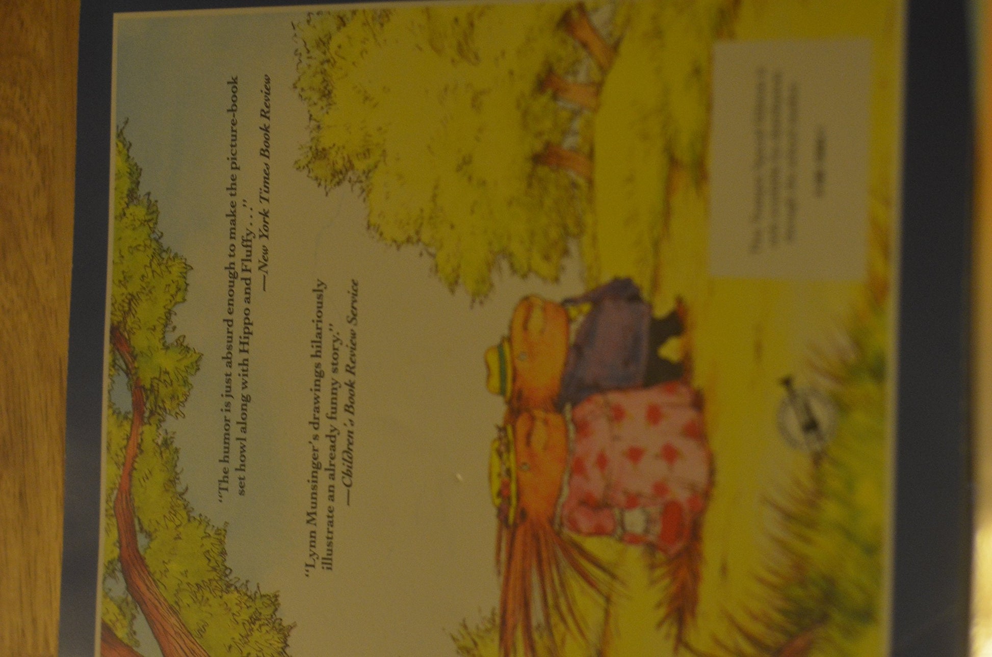 A Porcupine Named Fluffy used book depot