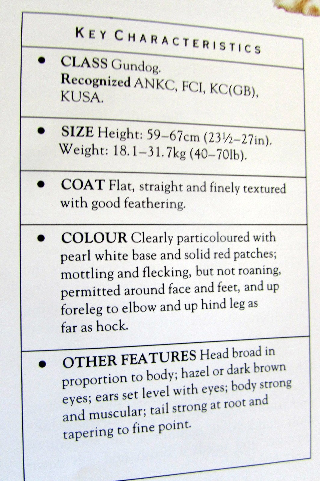 The Illustrated Encyclopedia of Dog Breeds used book depot