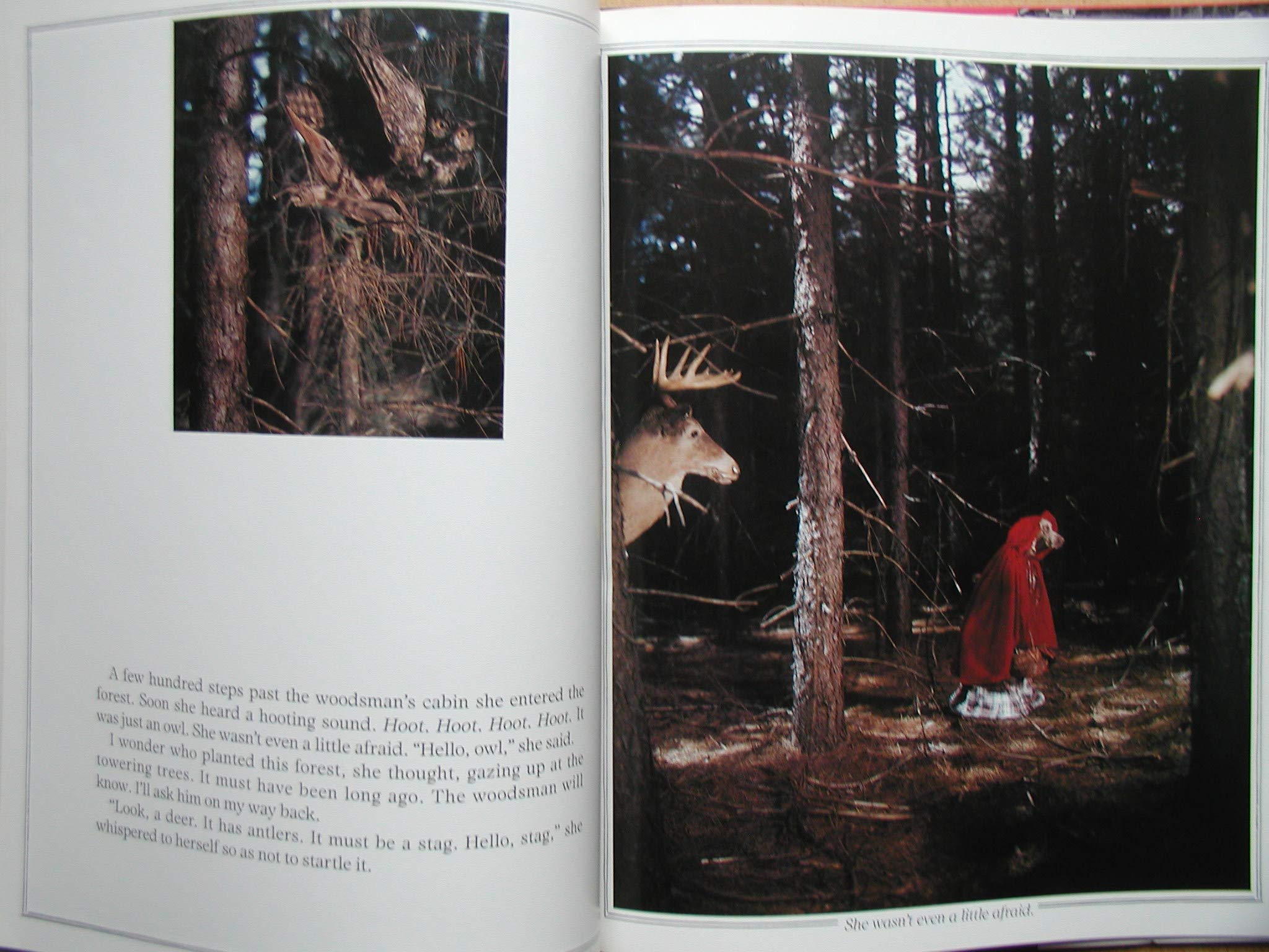 Little Red Riding Hood: Retold and illustrated with color photographs by William Wegman (Fay's Fairy Tales) used book depot
