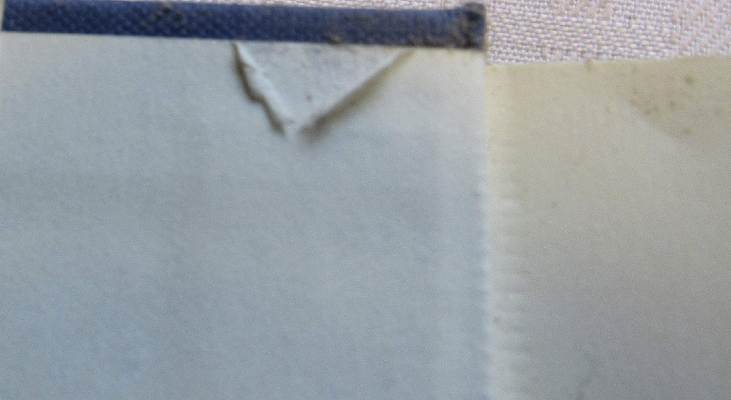 The Essential 55: An Award-Winning Educator's Rules for Discovering the Successful Student in Every Child used book depot