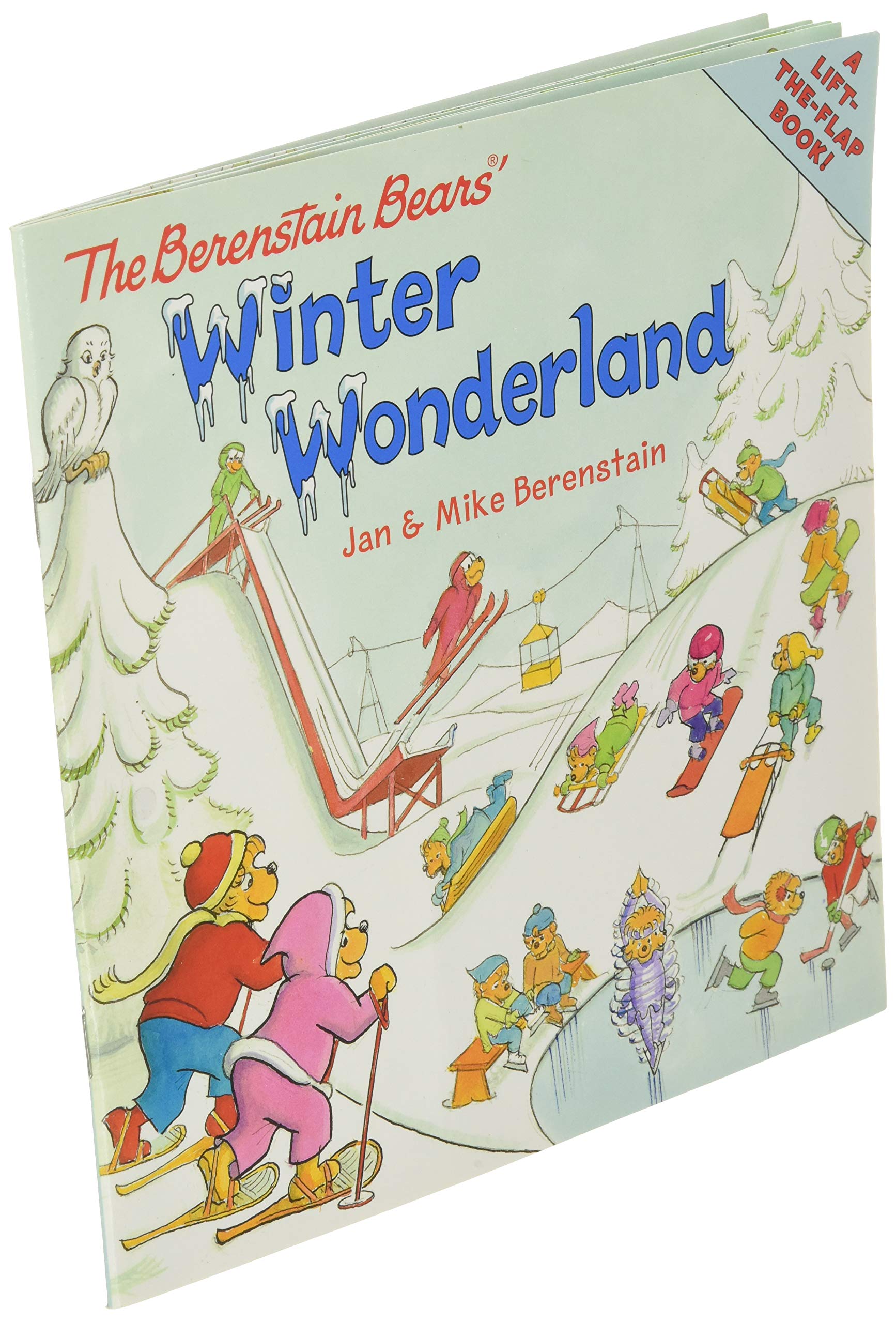 The Berenstain Bears' Winter Wonderland: A Winter and Holiday Book for Kids used book depot