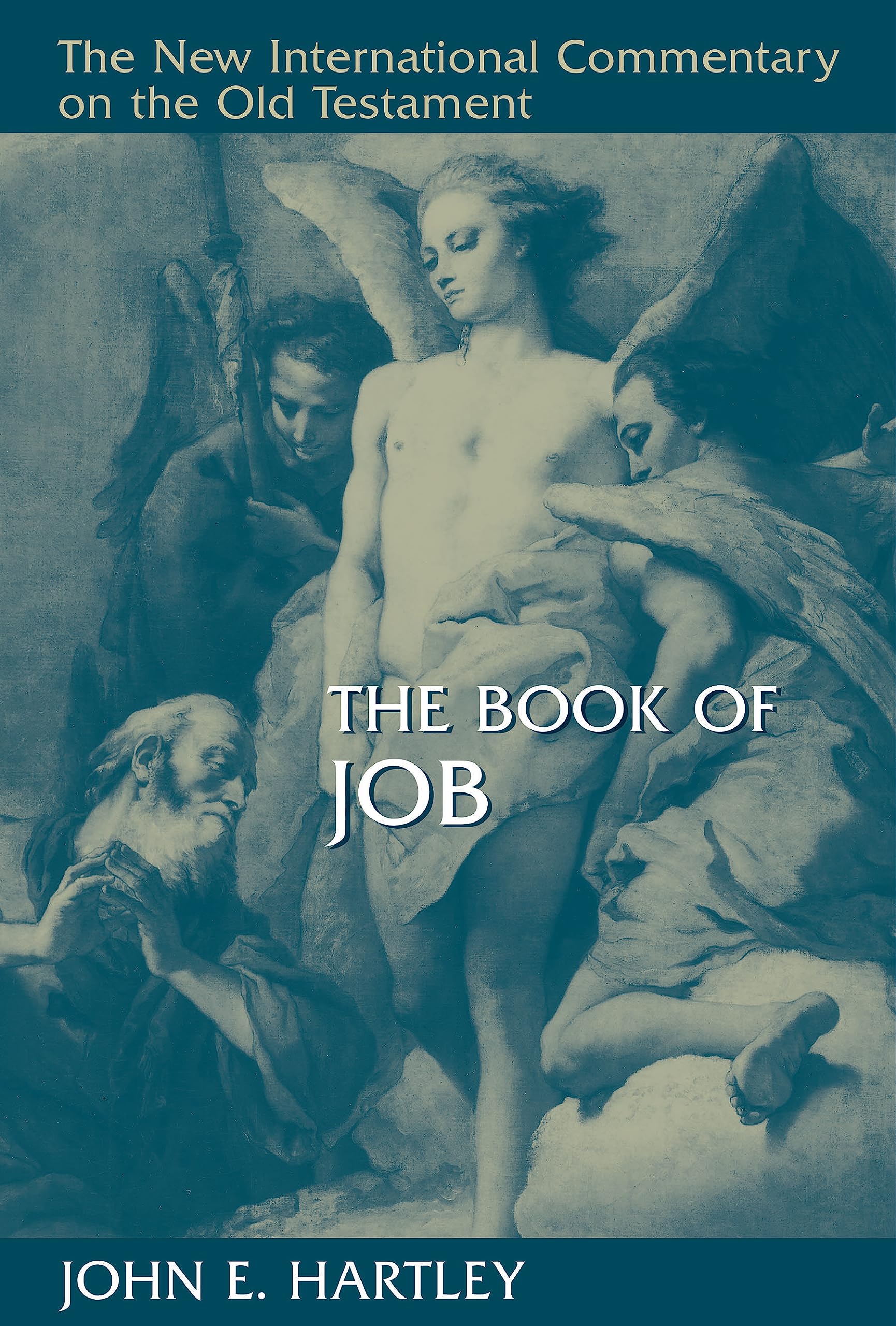 The Book of Job (New International Commentary on the Old Testament) used book depot