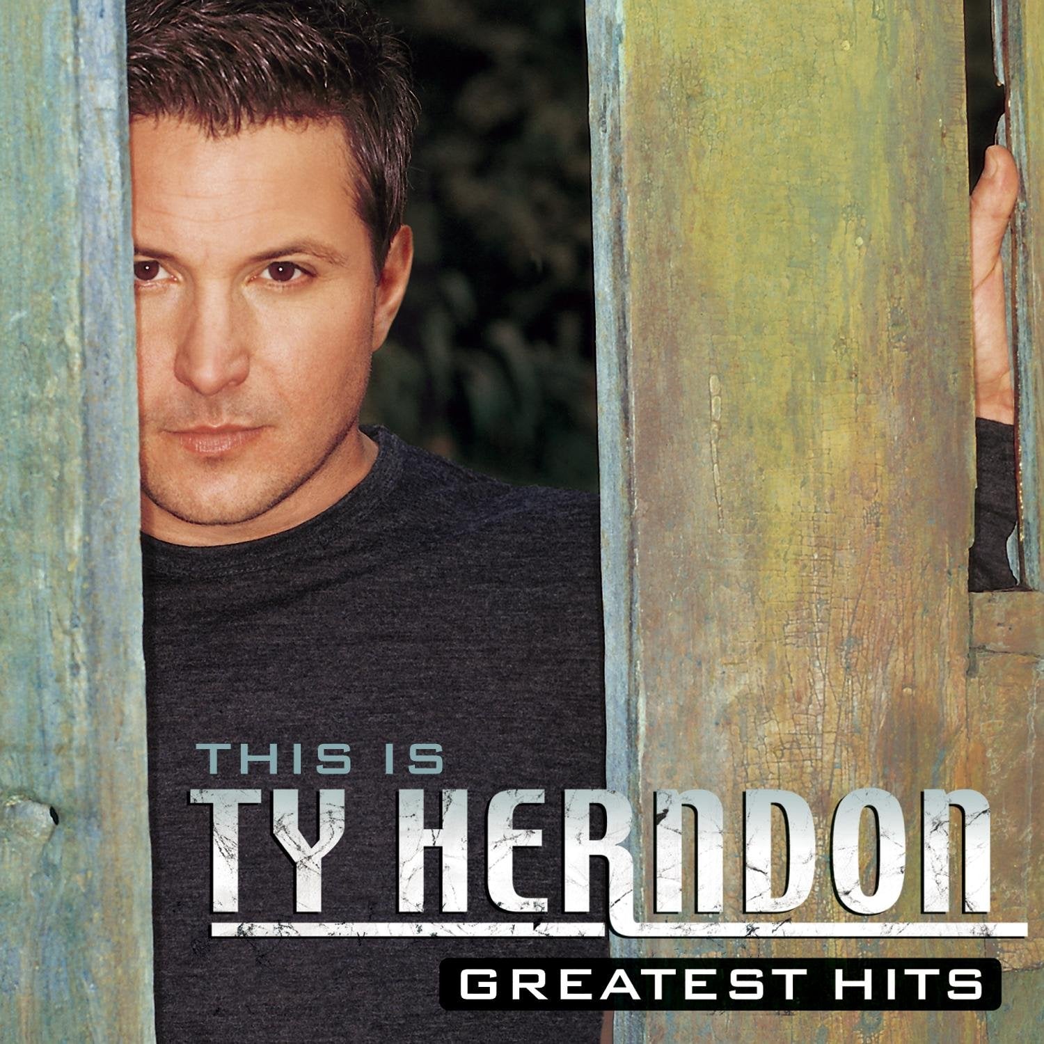 This is Ty Herndon: Greatest Hits used book depot