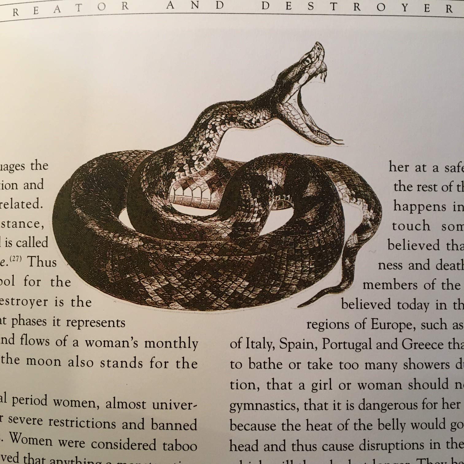 The Song of Eve: Mythology and Symbols of the Goddess used book depot
