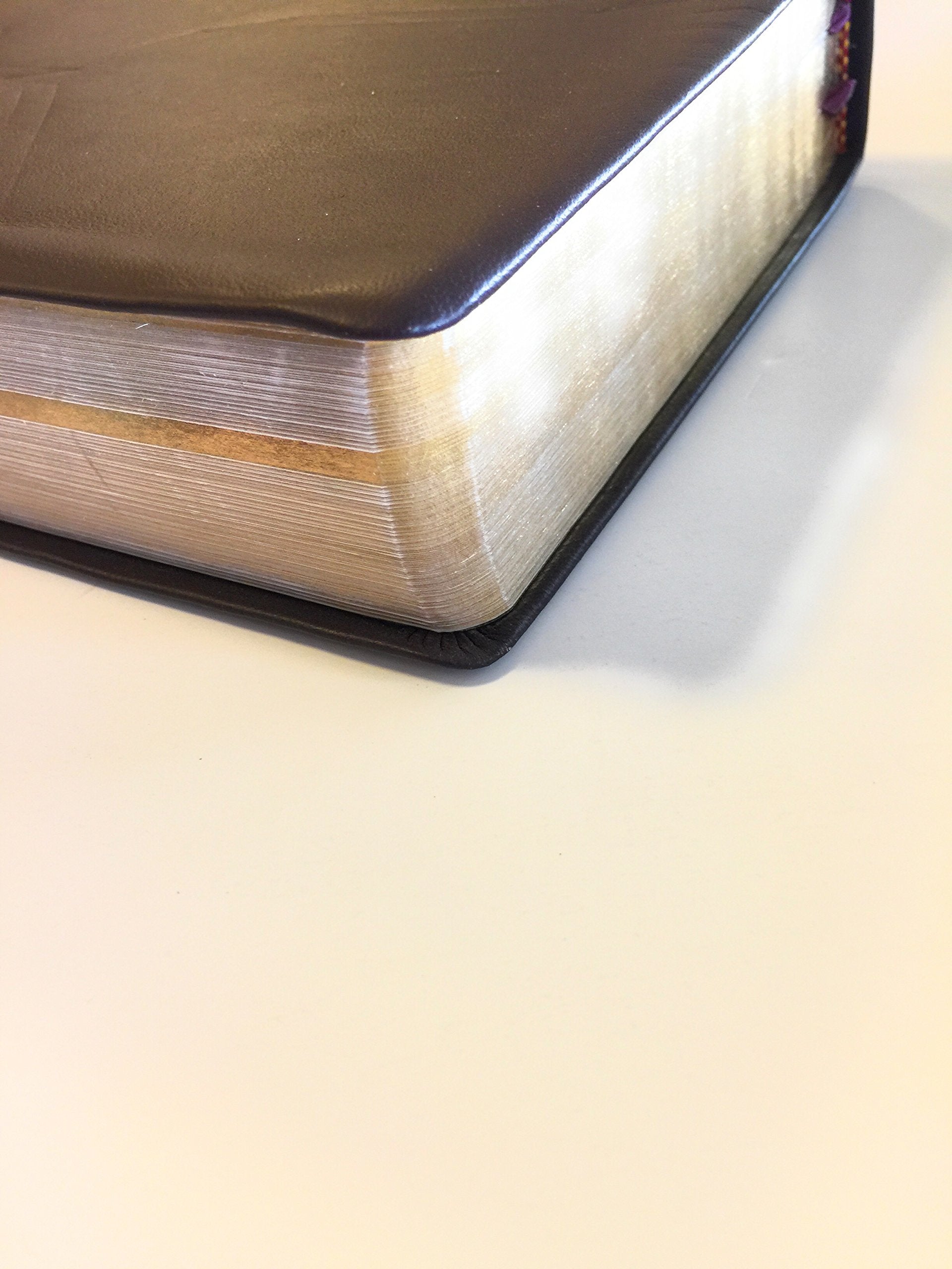 The Expositor's Study Bible used book depot