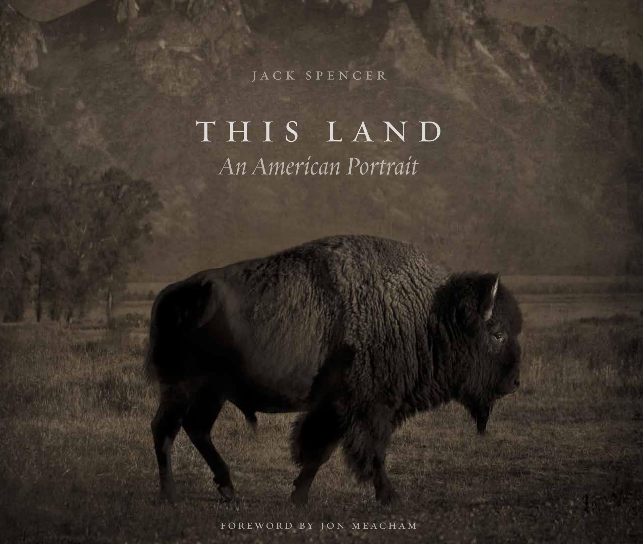 This Land: An American Portrait used book depot