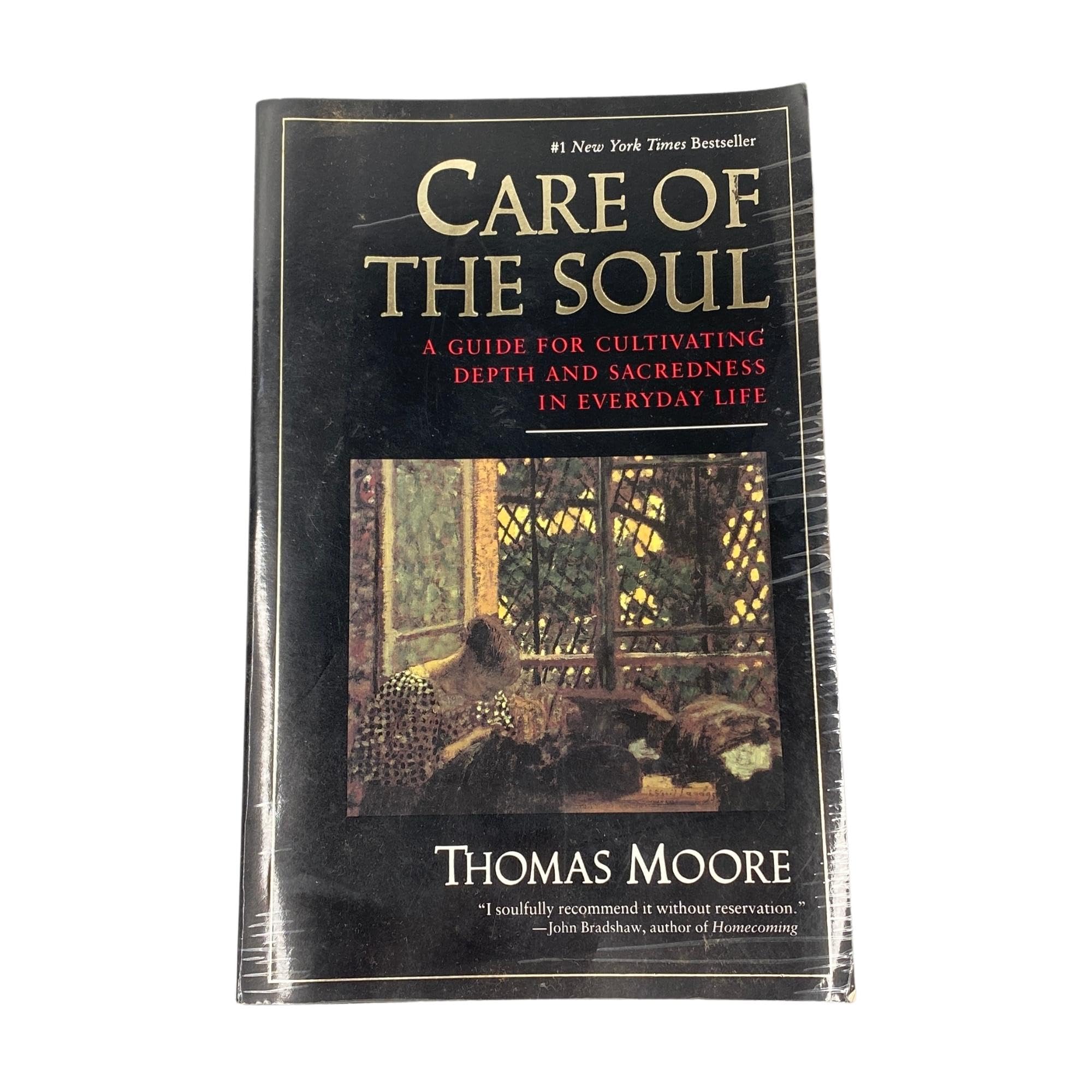 Care of the Soul : A Guide for Cultivating Depth and Sacredness in Everyday Life used book depot