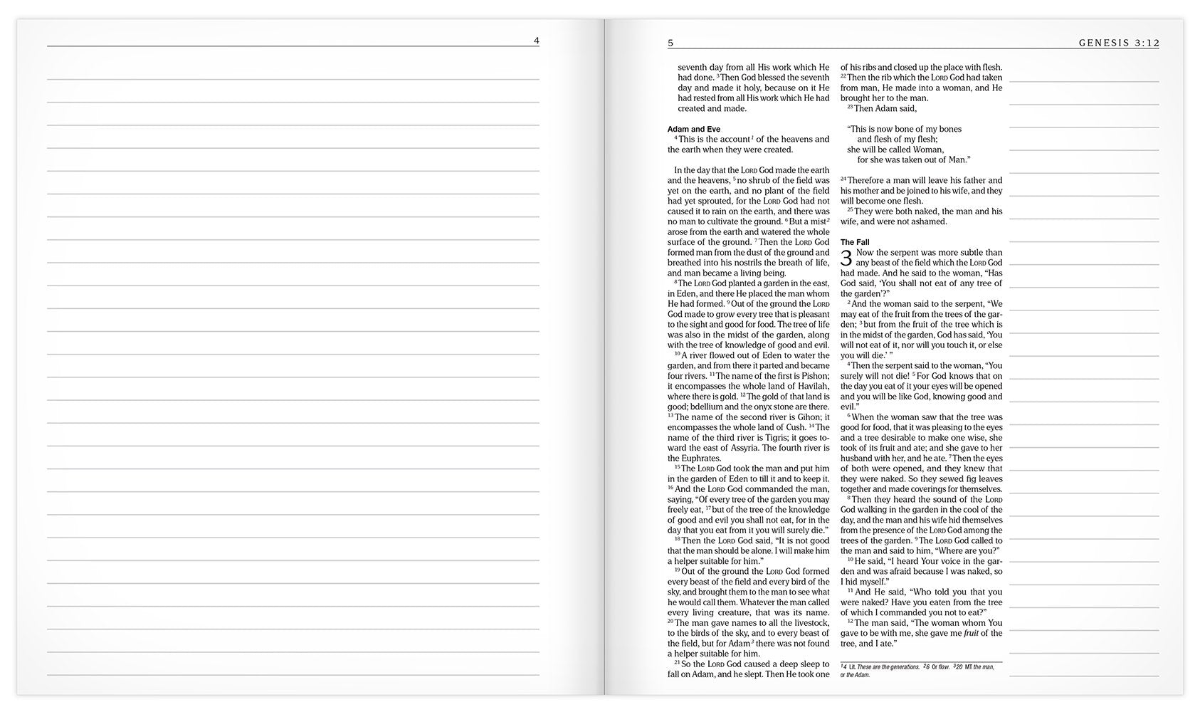 The MEV Promises of God Creative Journaling Bible: Modern English Version used book depot