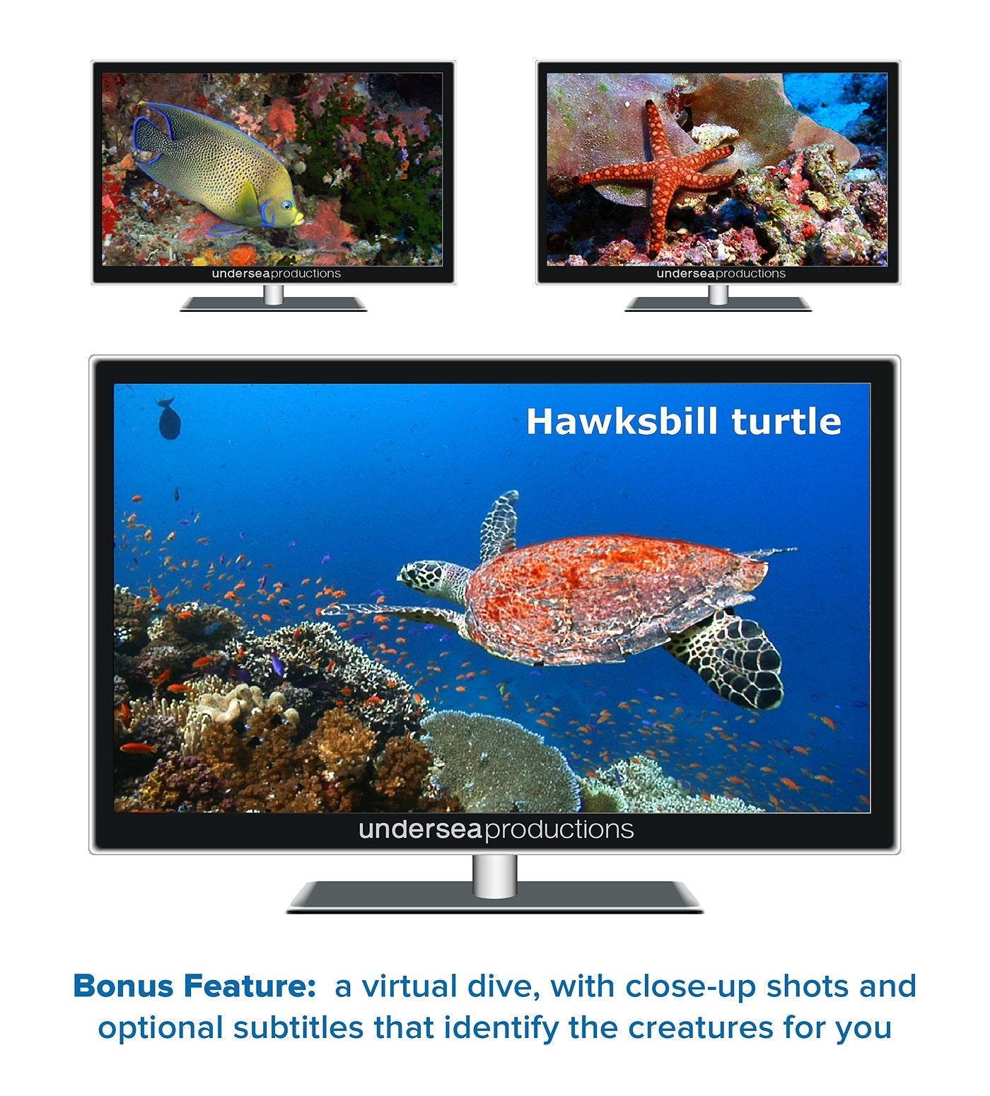 Reefscapes: Nature's Aquarium DVD, nature video of tropical fish and coral reefs filmed in the ocean, for relaxation and ambience used book depot