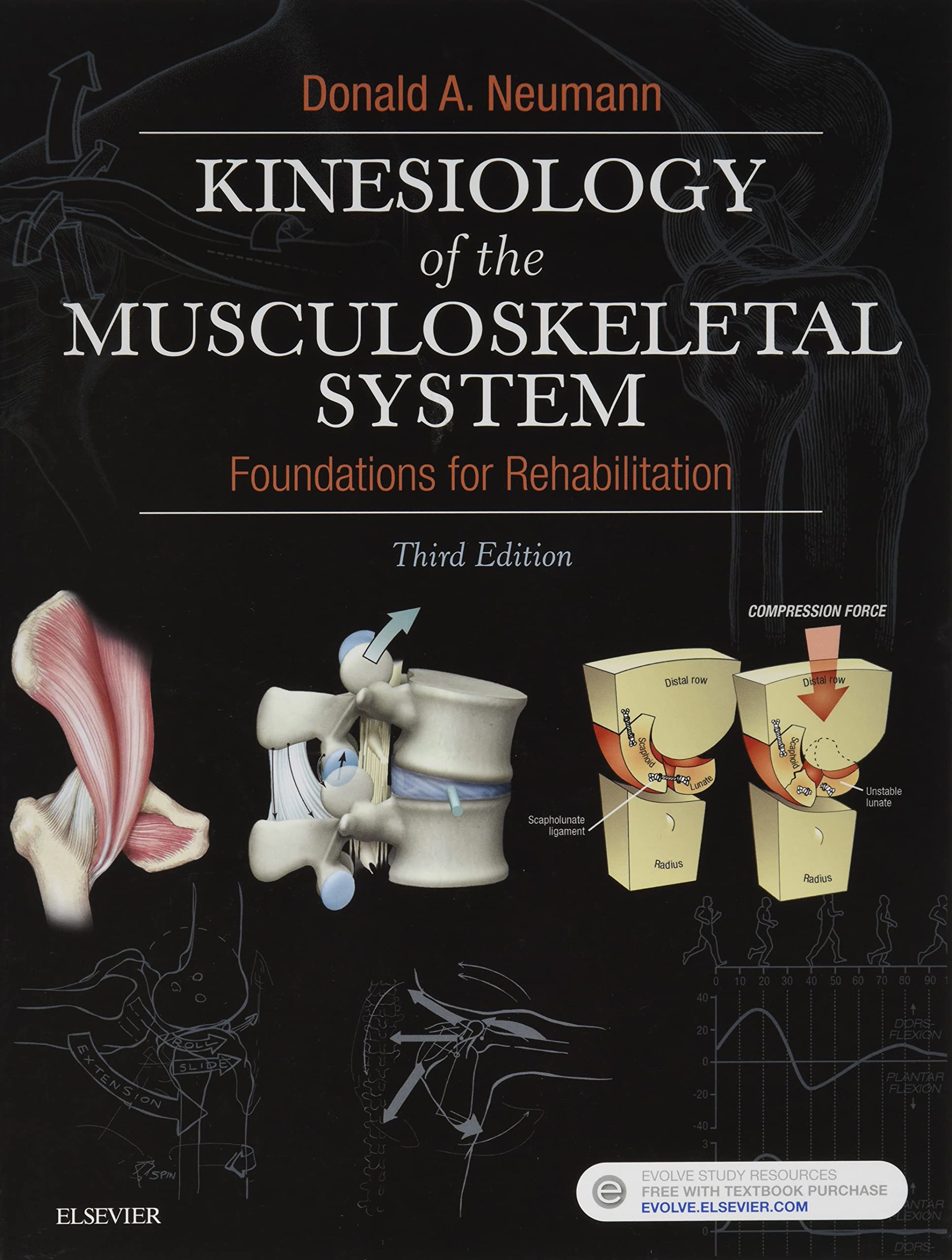 Kinesiology of the Musculoskeletal System used book depot