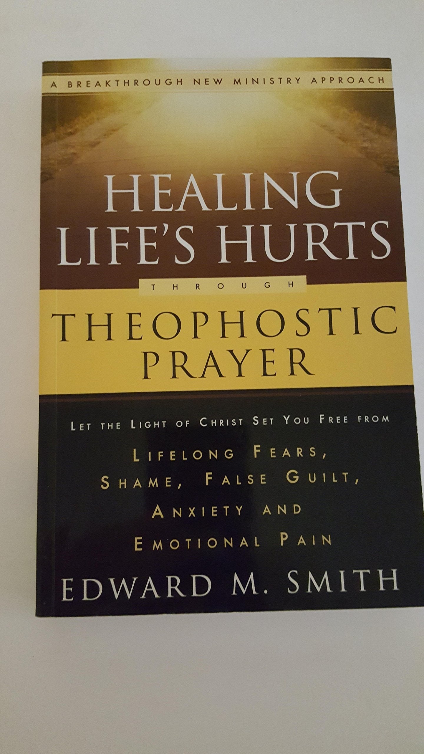 Healing Life's Hurts Through Theophostic Prayer used book depot