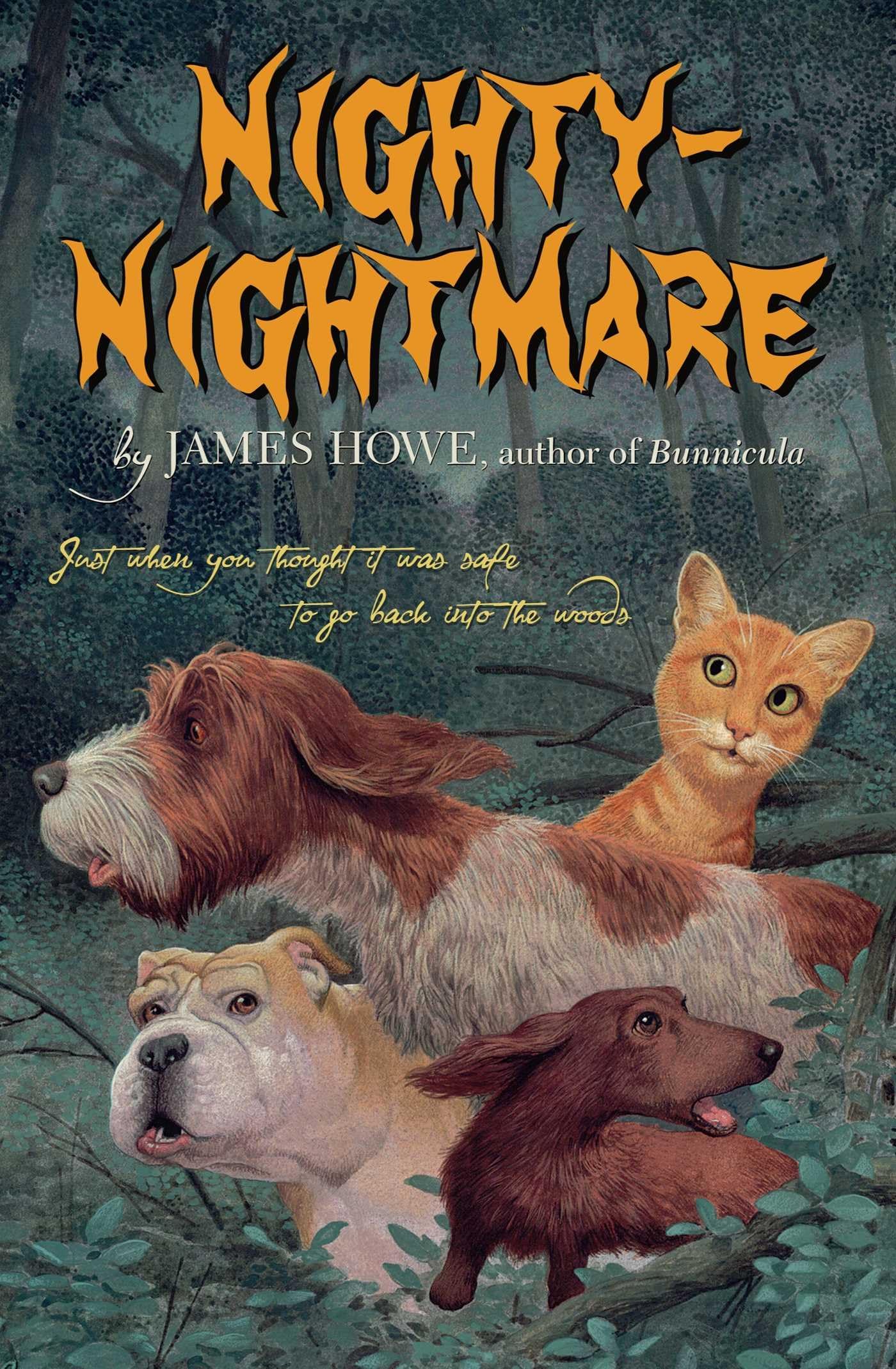 Nighty-Nightmare (Bunnicula and Friends) used book depot