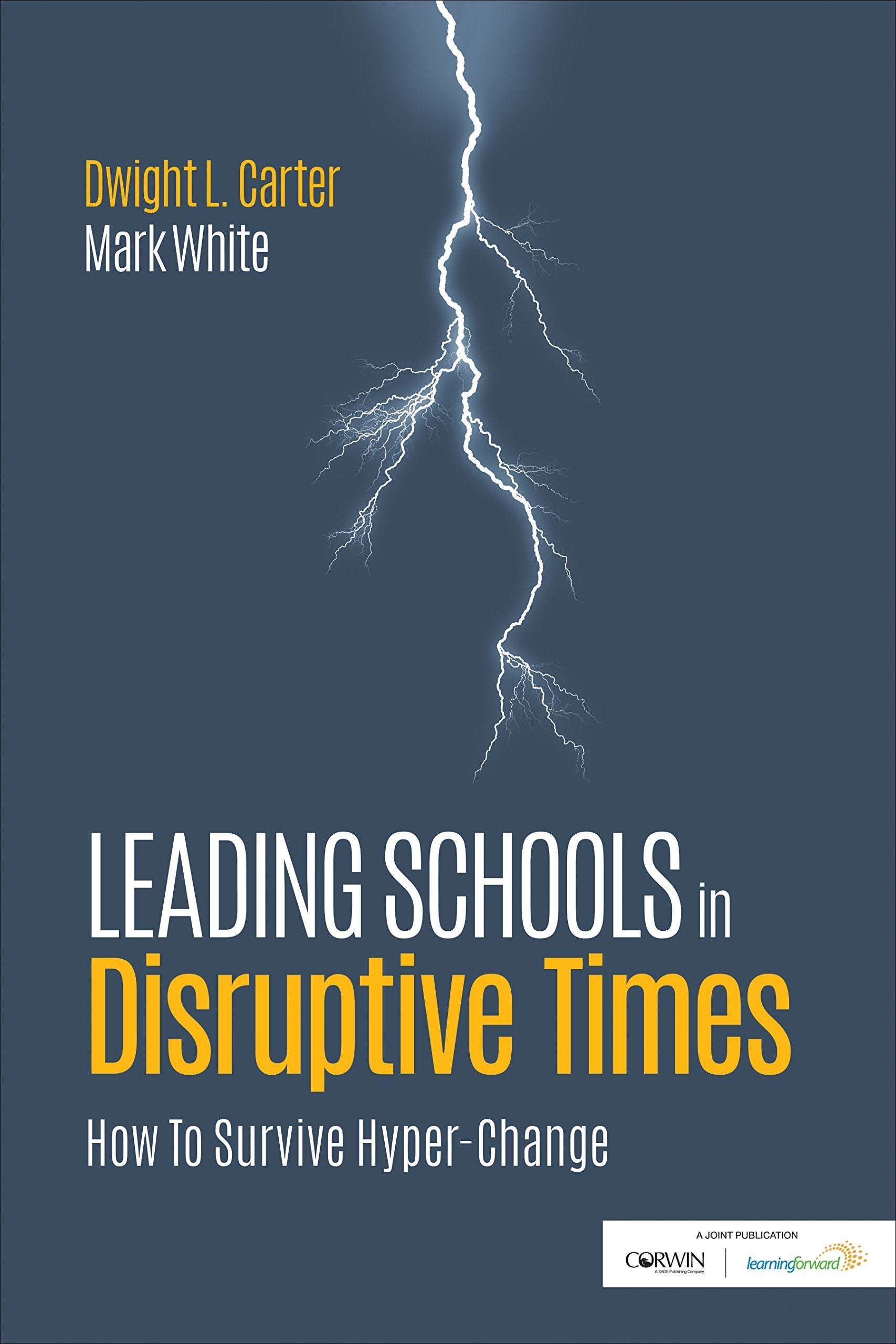 Leading Schools in Disruptive Times: How To Survive Hyper-Change used book depot