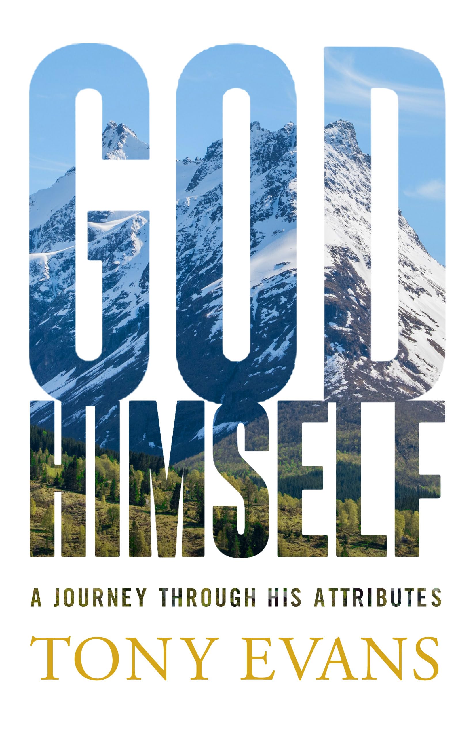 God, Himself: A Journey Through His Attributes used book depot