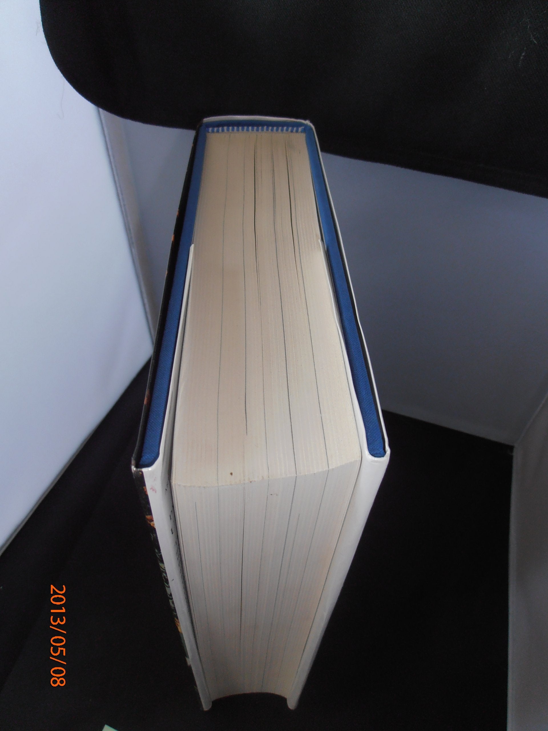 Paintings in the Uffizi and Pitti Galleries used book depot