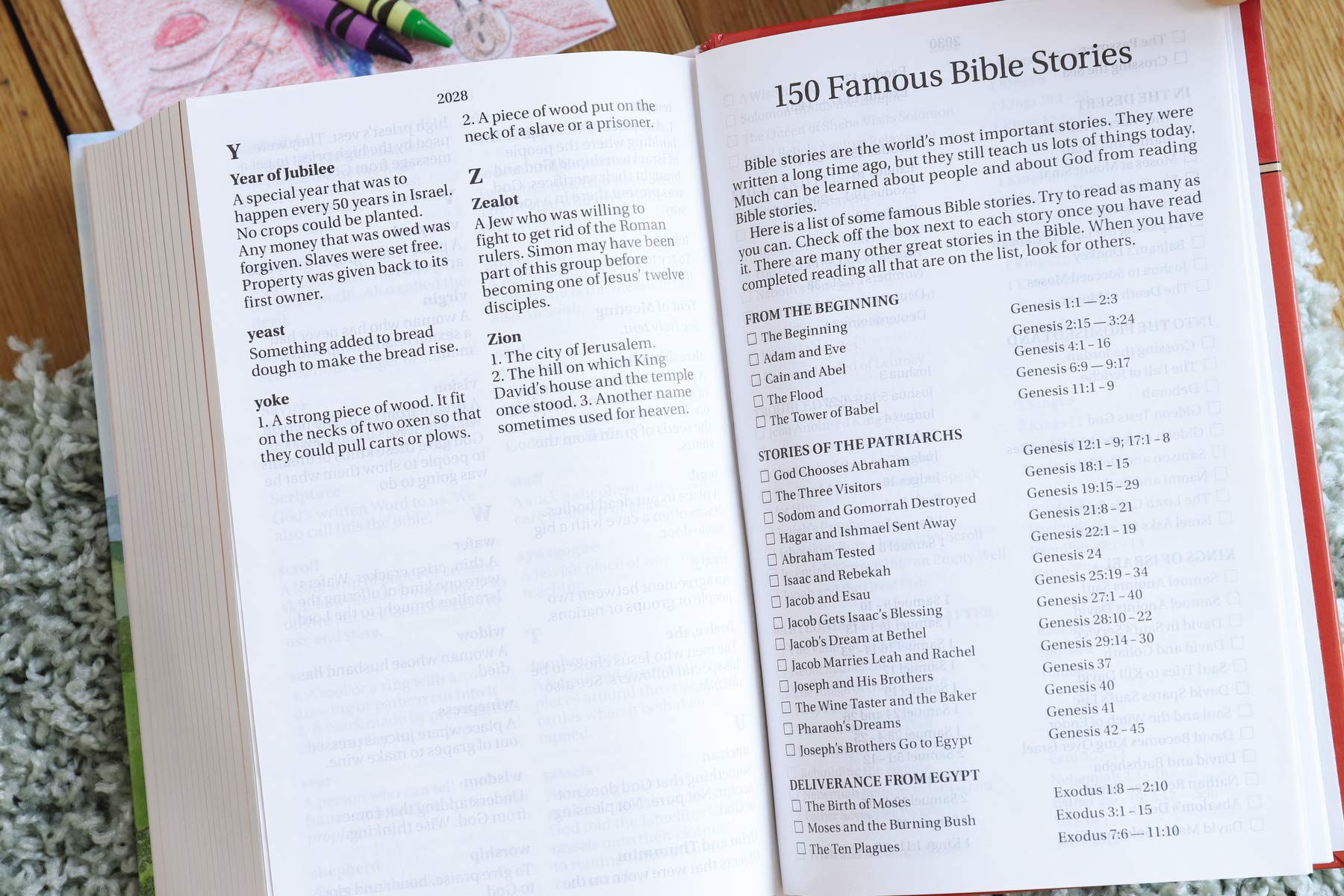NIrV, Discoverer's Bible for Early Readers, Large Print, Hardcover: A Large Print Bible for Early Readers used book depot