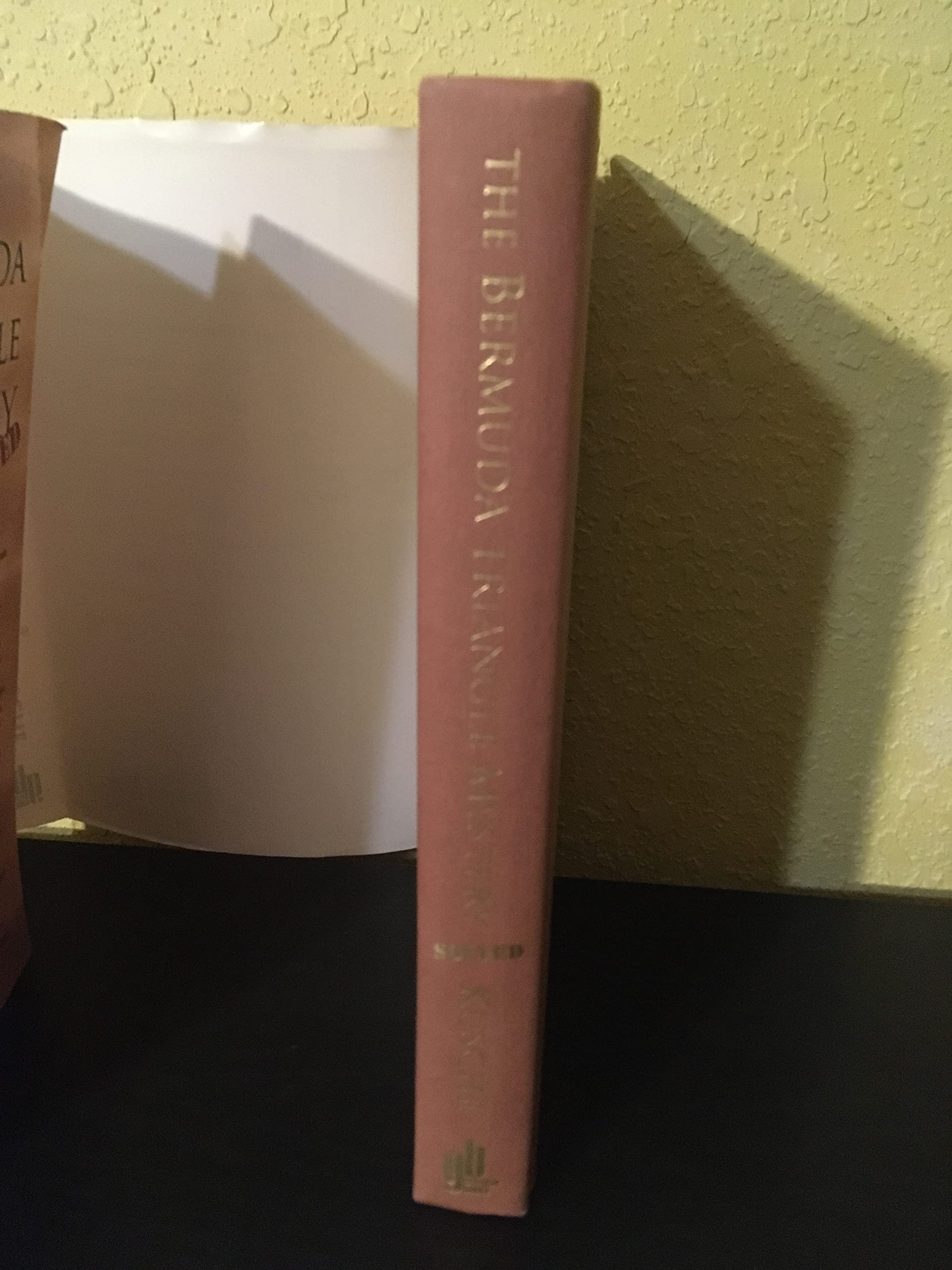 The Bermuda Triangle Mystery Solved used book depot