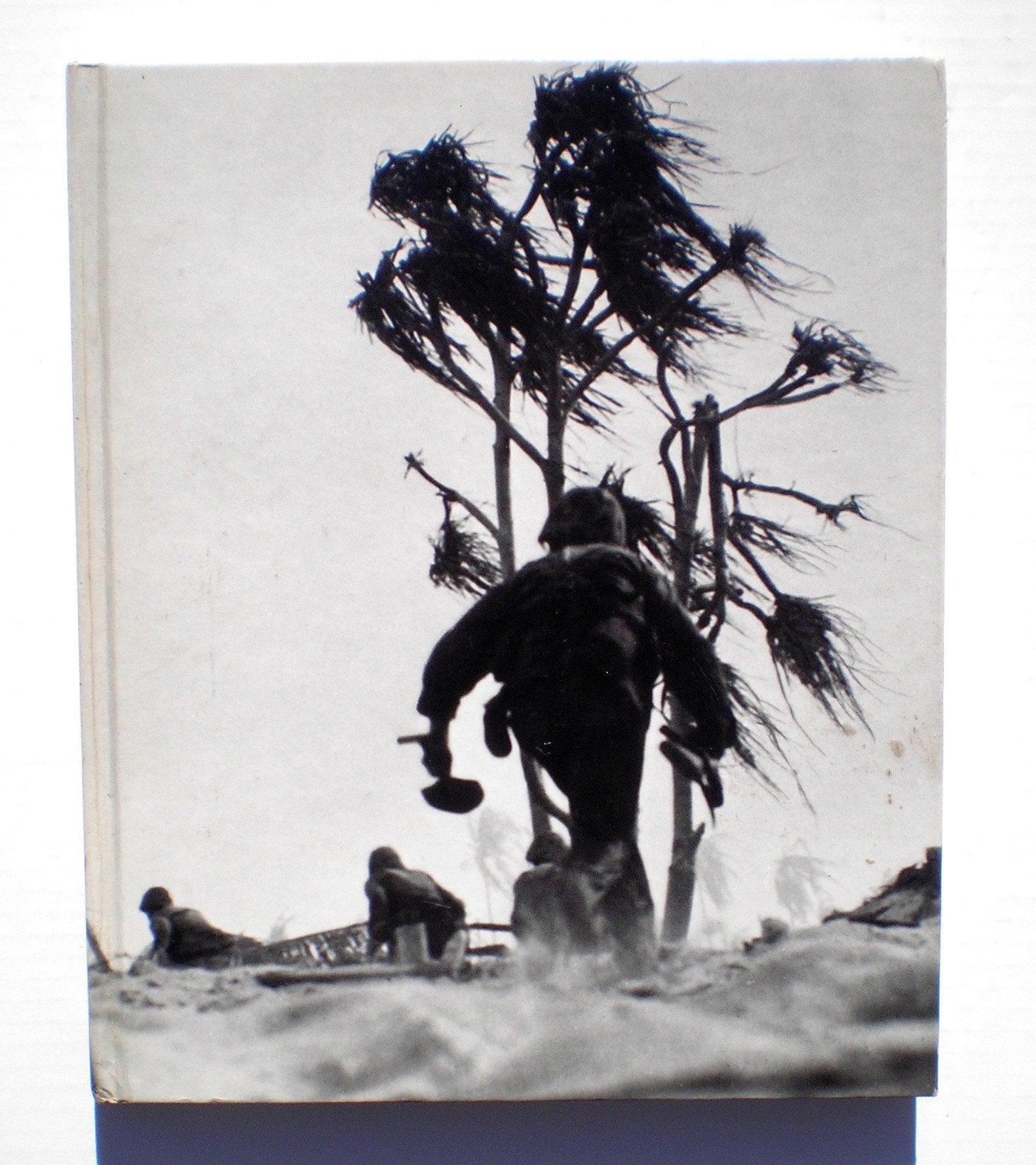 Island fighting (World War II) used book depot