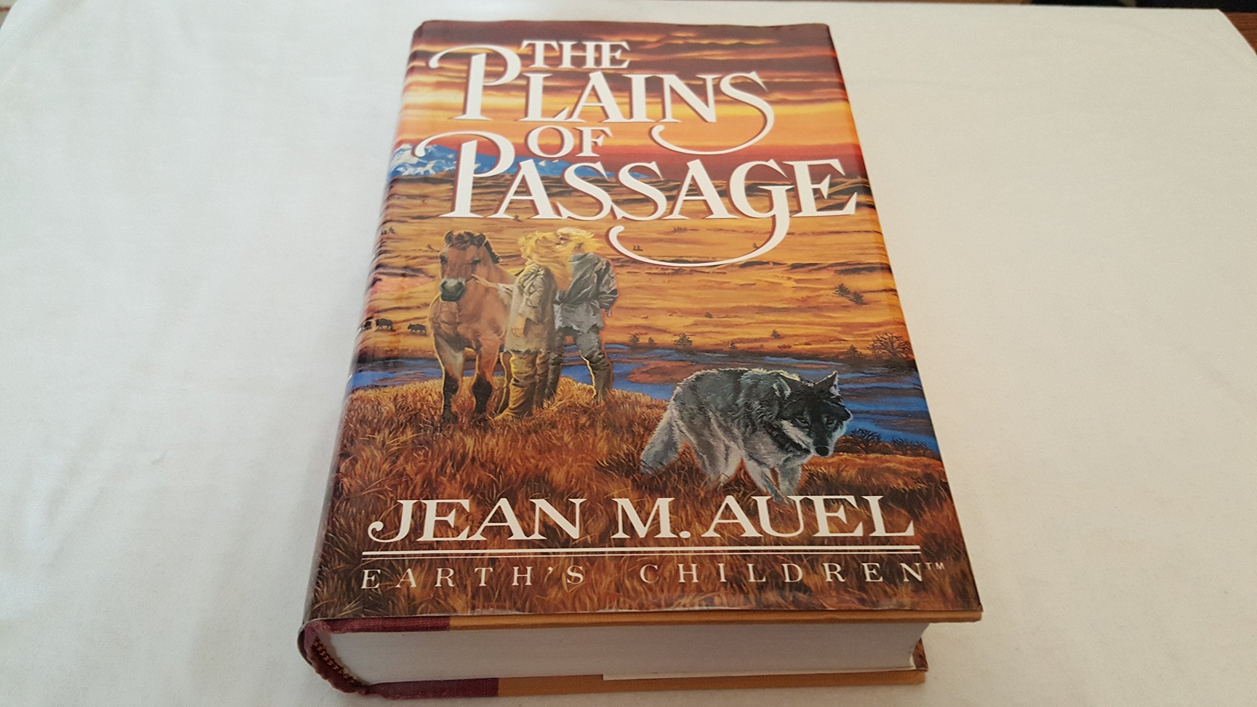The Plains Of Passage used book depot