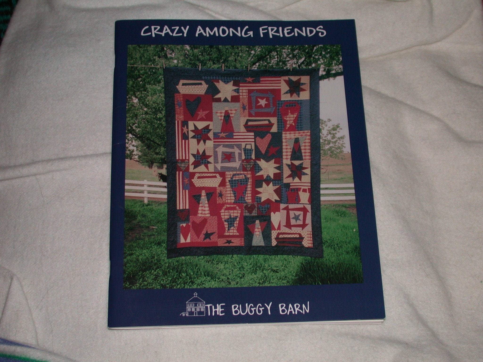 Crazy Among Friends used book depot