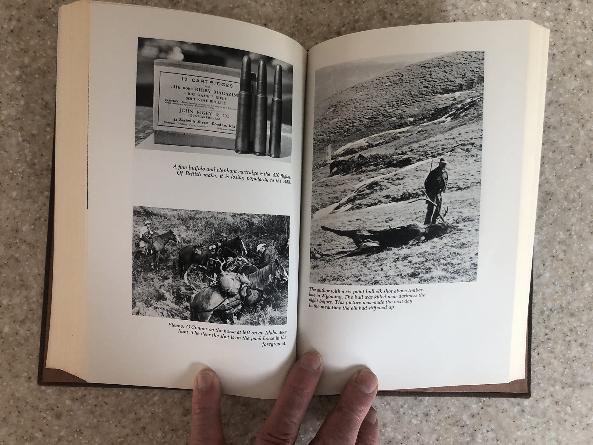 The hunting rifle used book depot