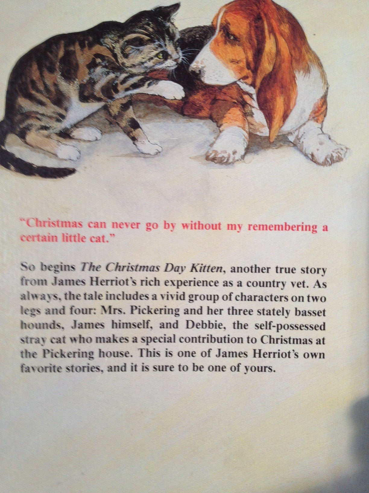 The Christmas Day Kitten used book depot