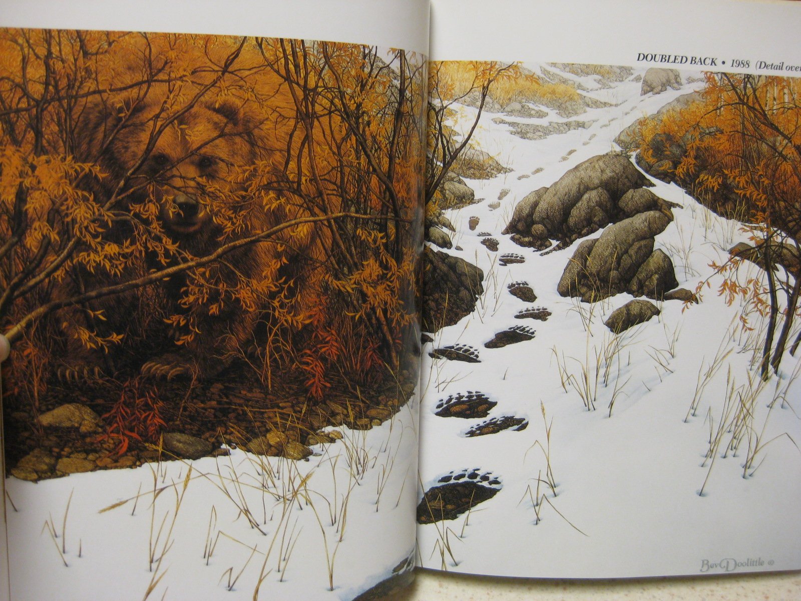 The Art of Bev Doolittle used book depot