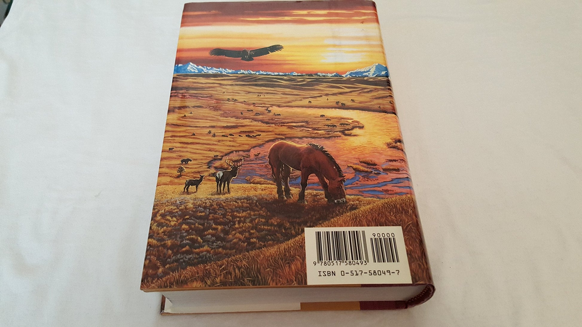 The Plains Of Passage used book depot