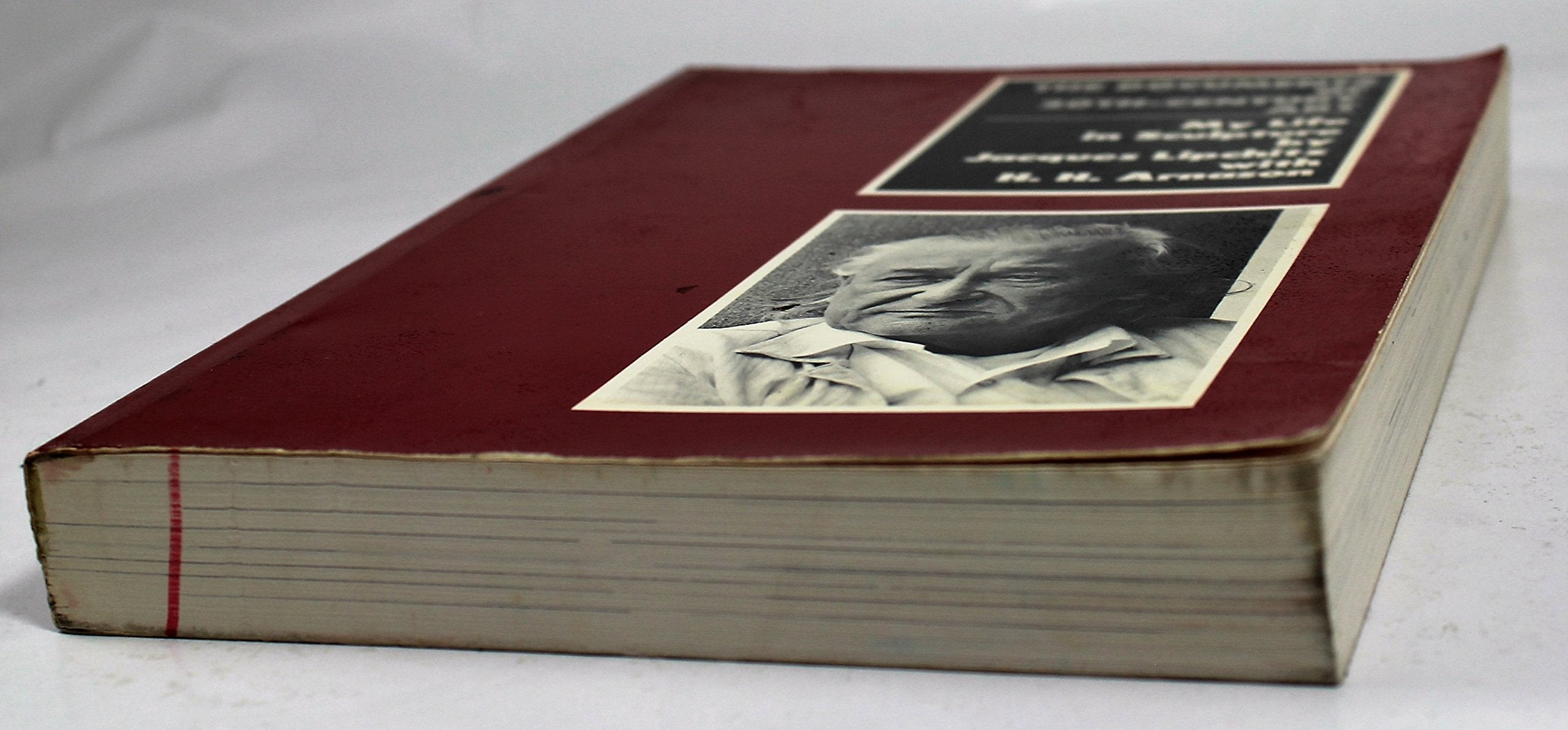 My Life in Sculpture used book depot