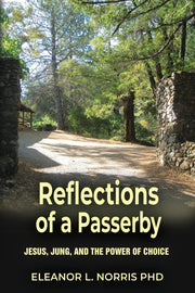 Reflections of a Passerby: Jesus, Jung, and the Power of Choice used book depot