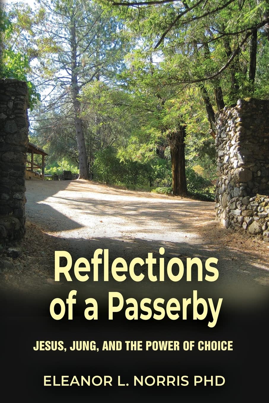 Reflections of a Passerby: Jesus, Jung, and the Power of Choice used book depot