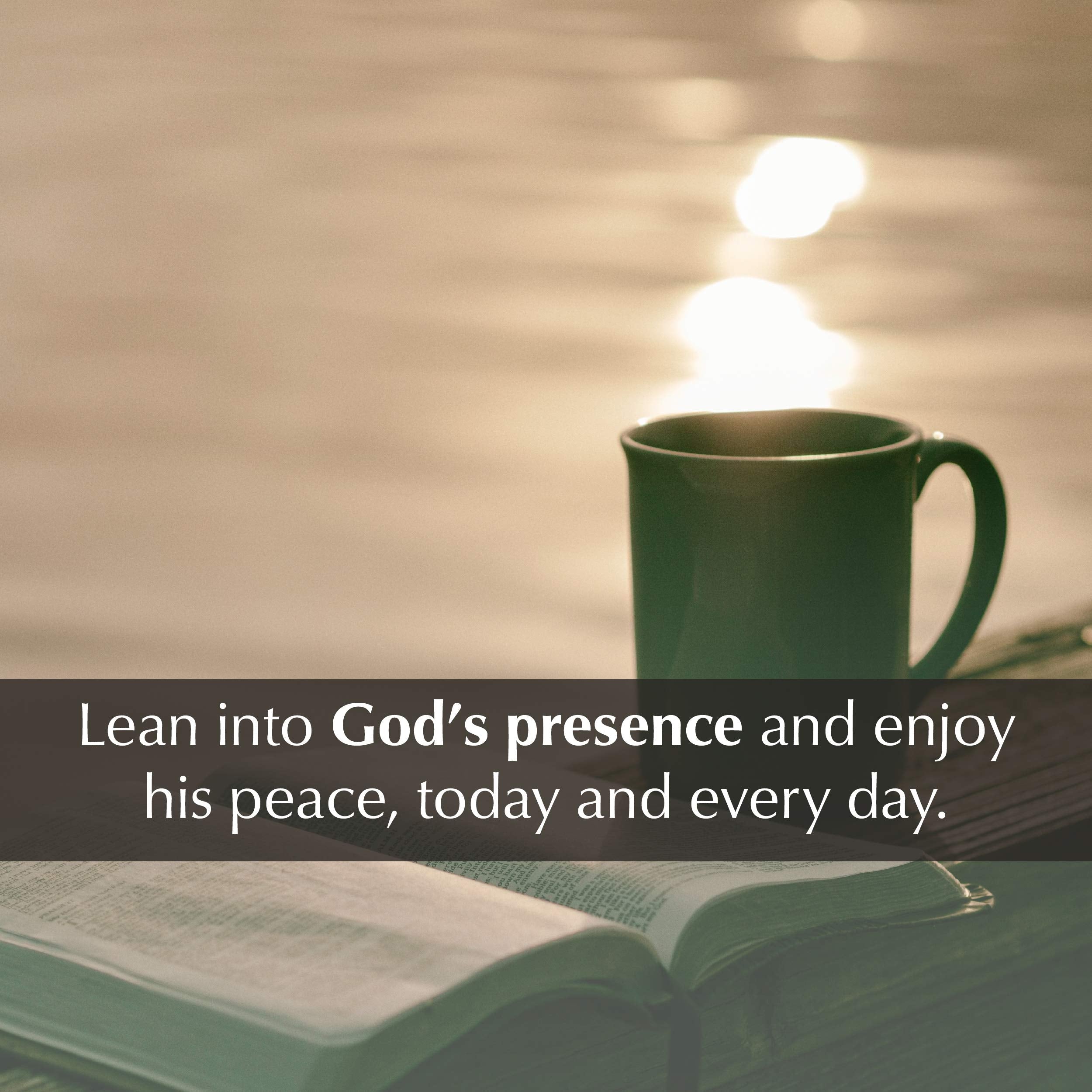 I Hear His Whisper: Encounter God's Heart for You, 365 Daily Devotions (The Passion Translation) (Imitation Leather) – Daily Messages of God's Love, ... More. (The Passion Translation Devotio used book depot