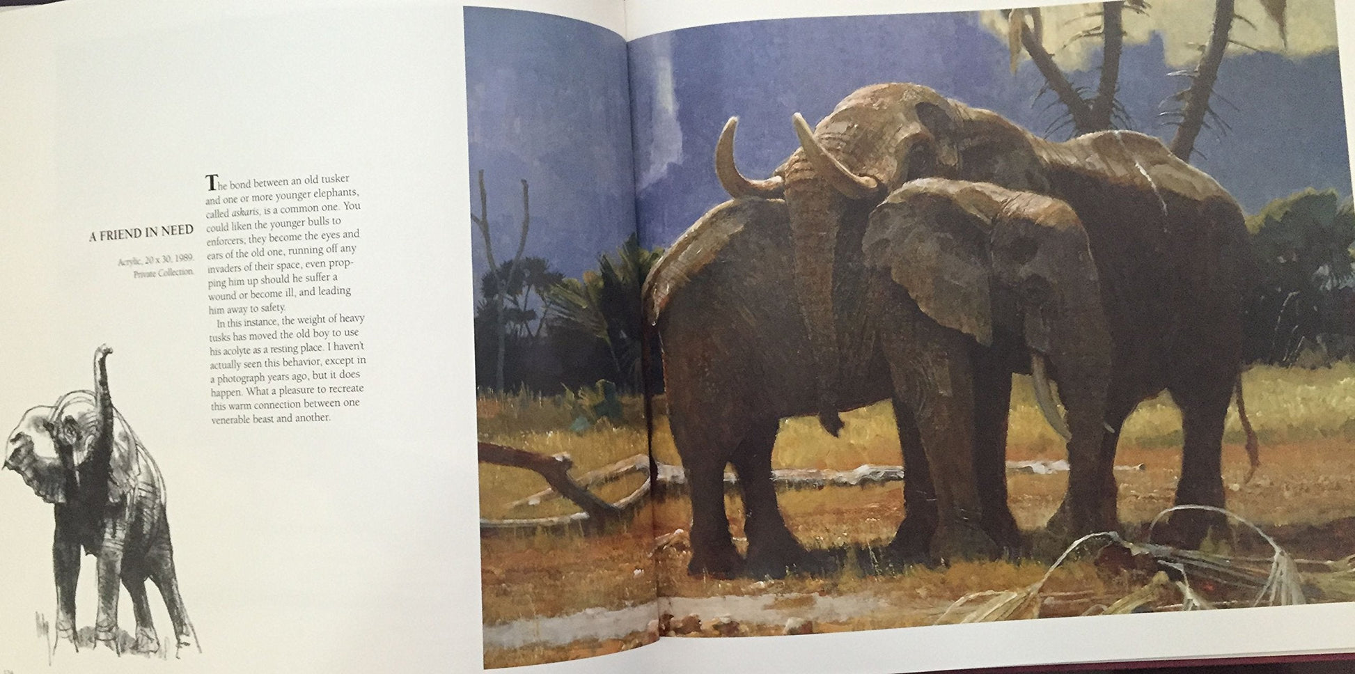 Wild Harvest: The Animal Art of Bob Kuhn used book depot