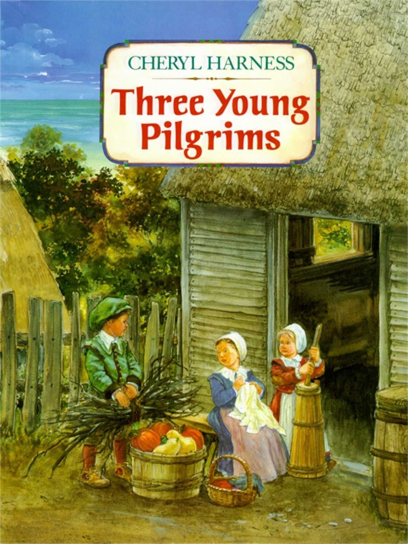Three Young Pilgrims used book depot