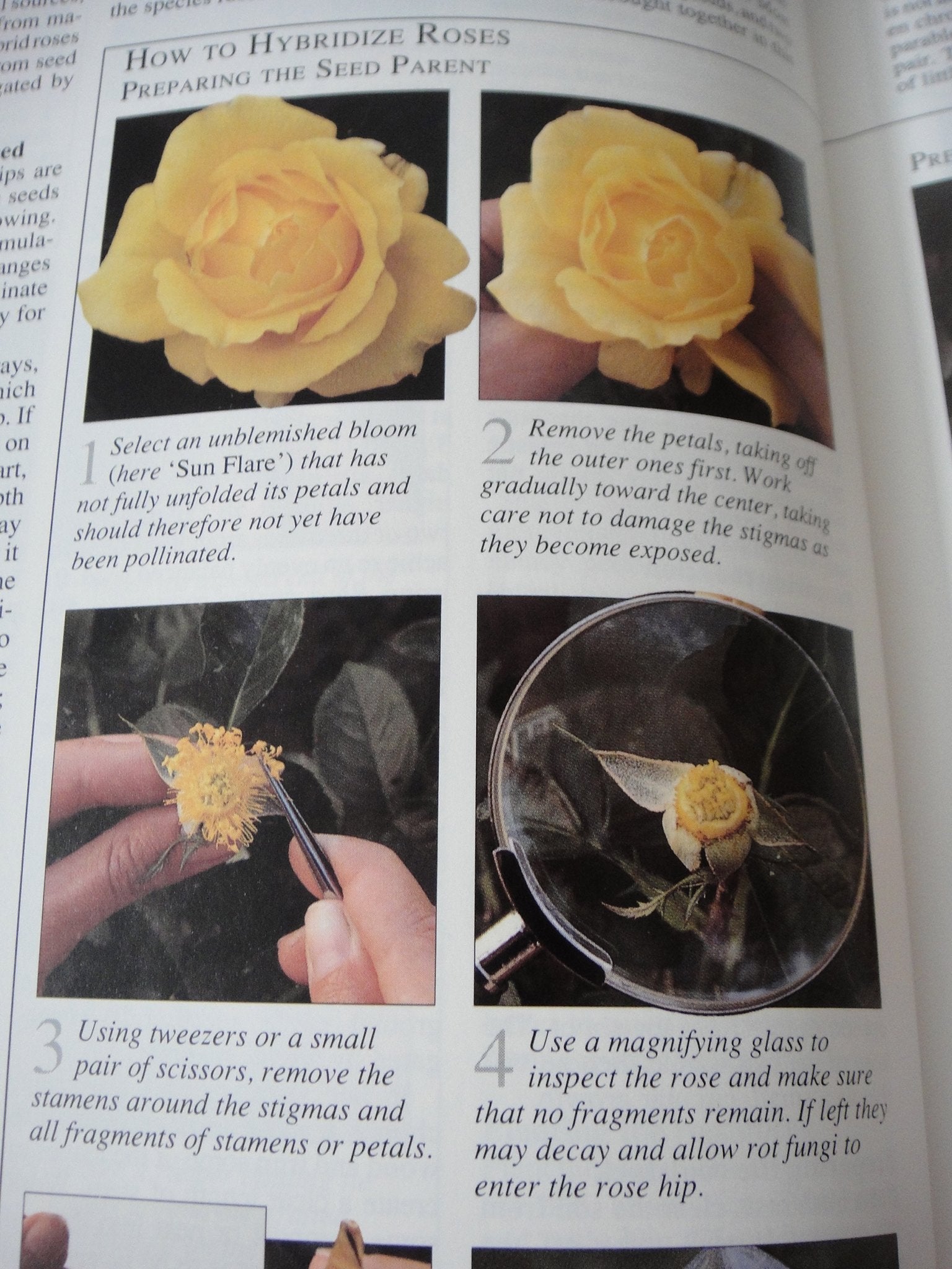 American Horticultural Society Encyclopedia of Gardening used book depot