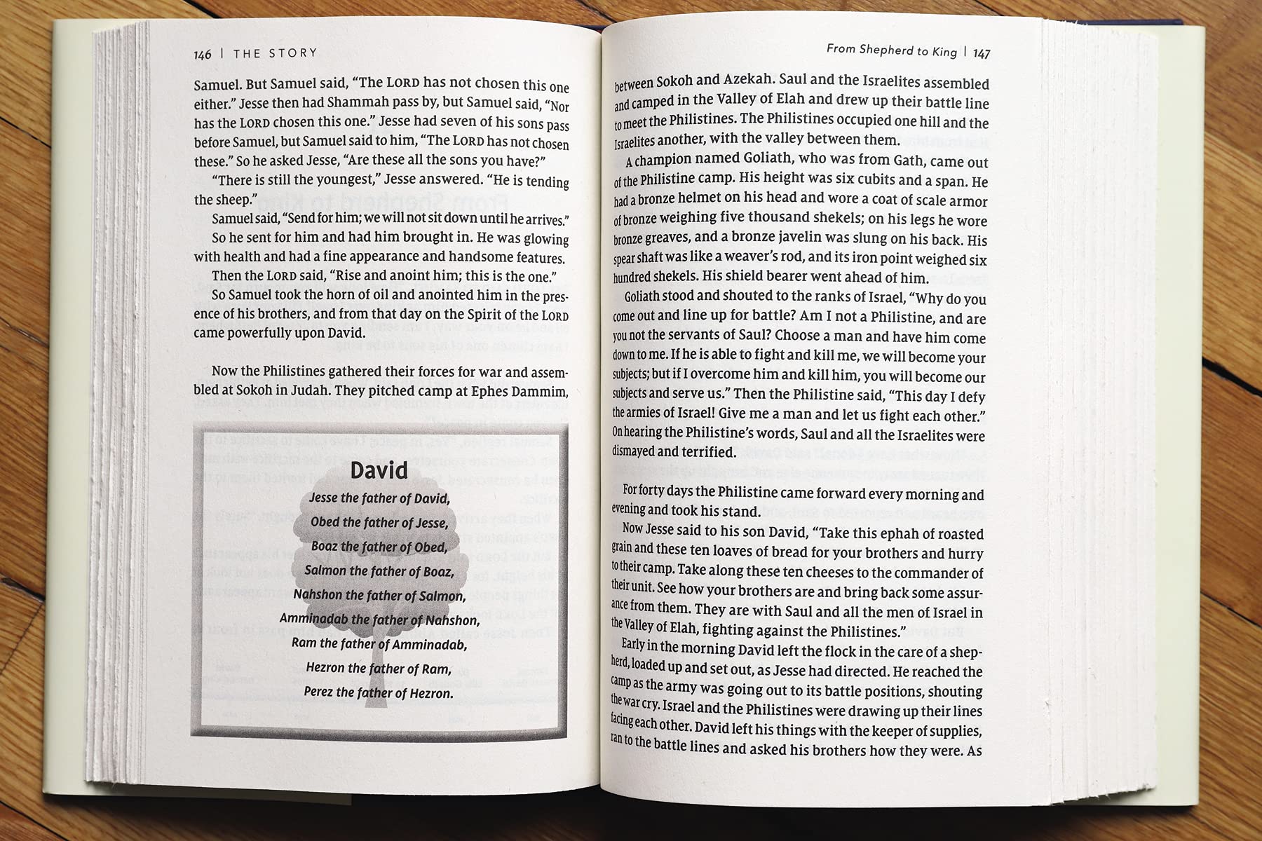 NIV, The Story, Hardcover, Comfort Print: The Bible as One Continuing Story of God and His People used book depot