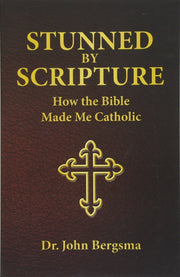 Stunned by Scripture: How the Bible Made Me Catholic used book depot