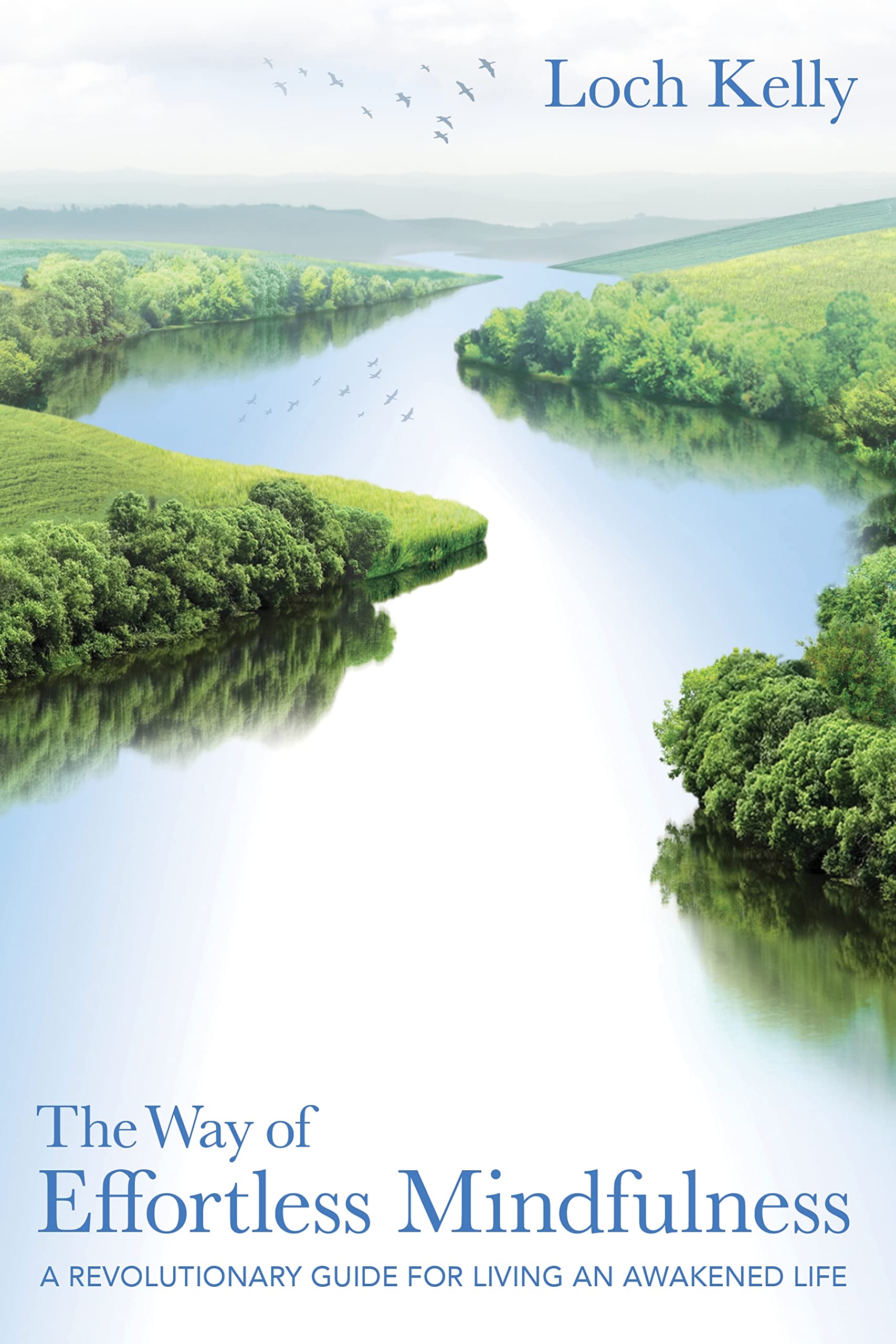 The Way of Effortless Mindfulness: A Revolutionary Guide for Living an Awakened Life used book depot