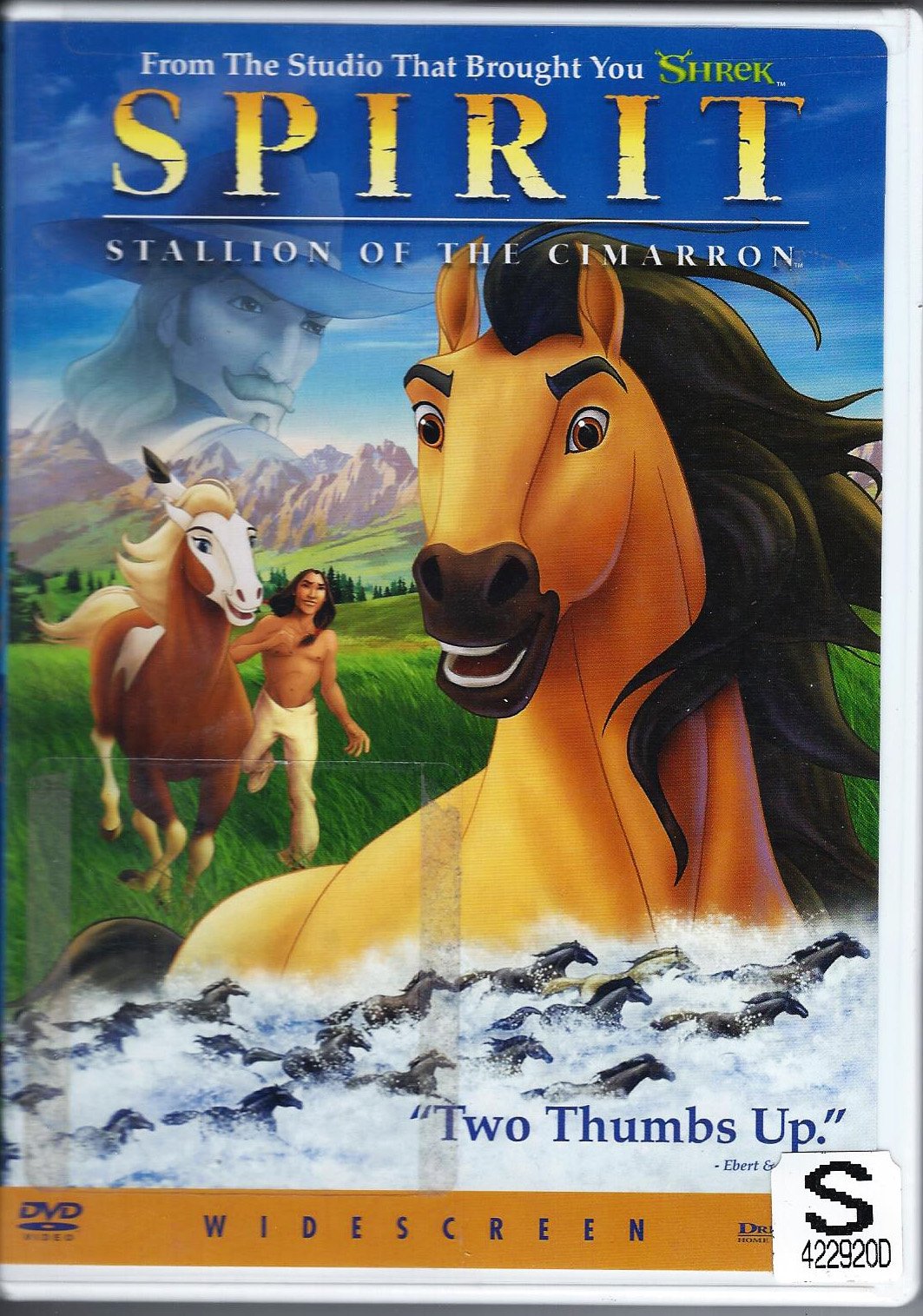 Spirit: Stallion of the Cimarron (Widescreen) used book depot